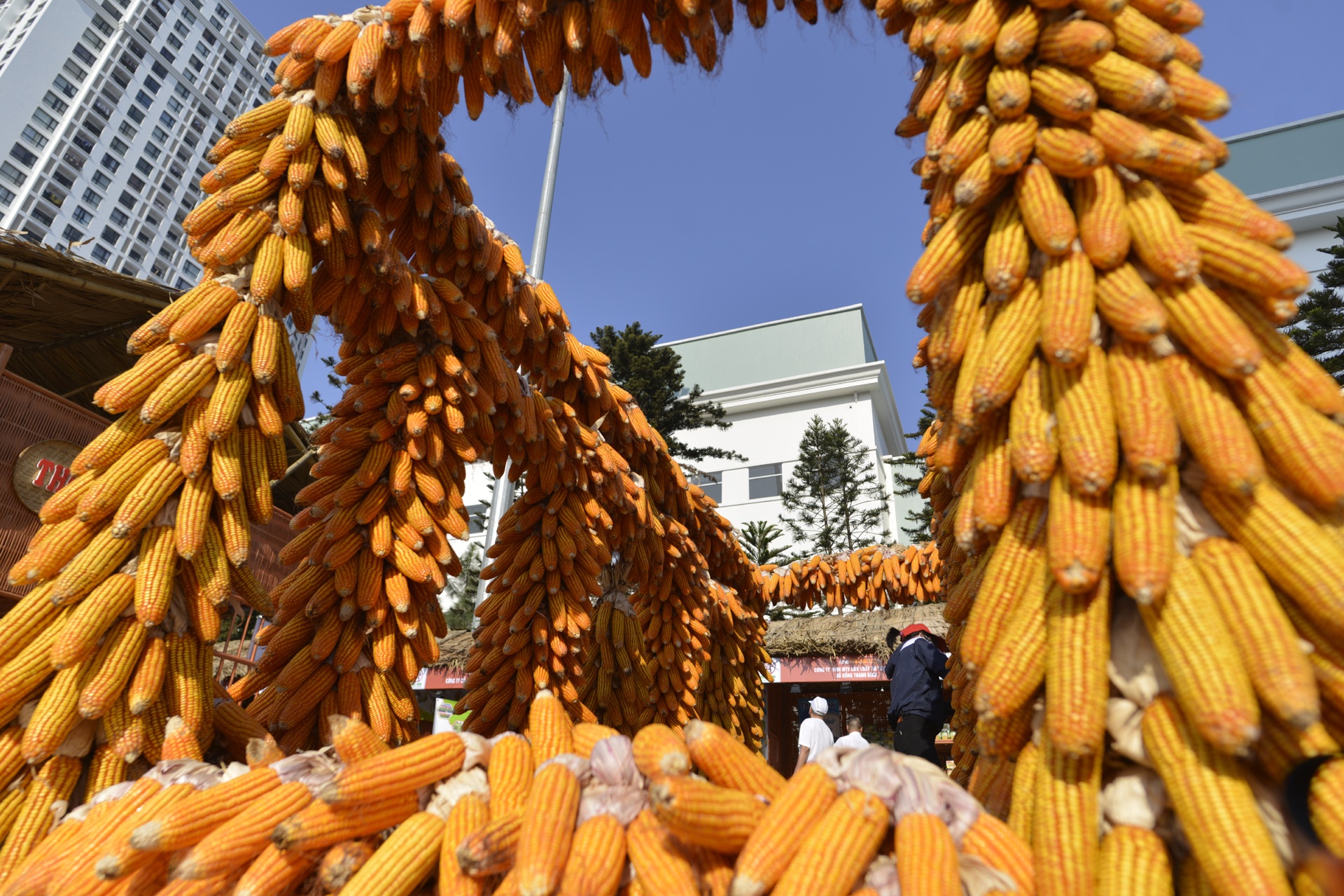 Dac san 4 mien hoi tu tai Thu do anh 3