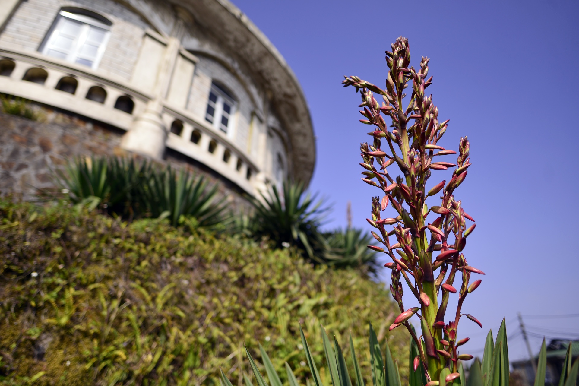 Ve dep hoang so tren dinh Mau Son nhin tu tren cao anh 9