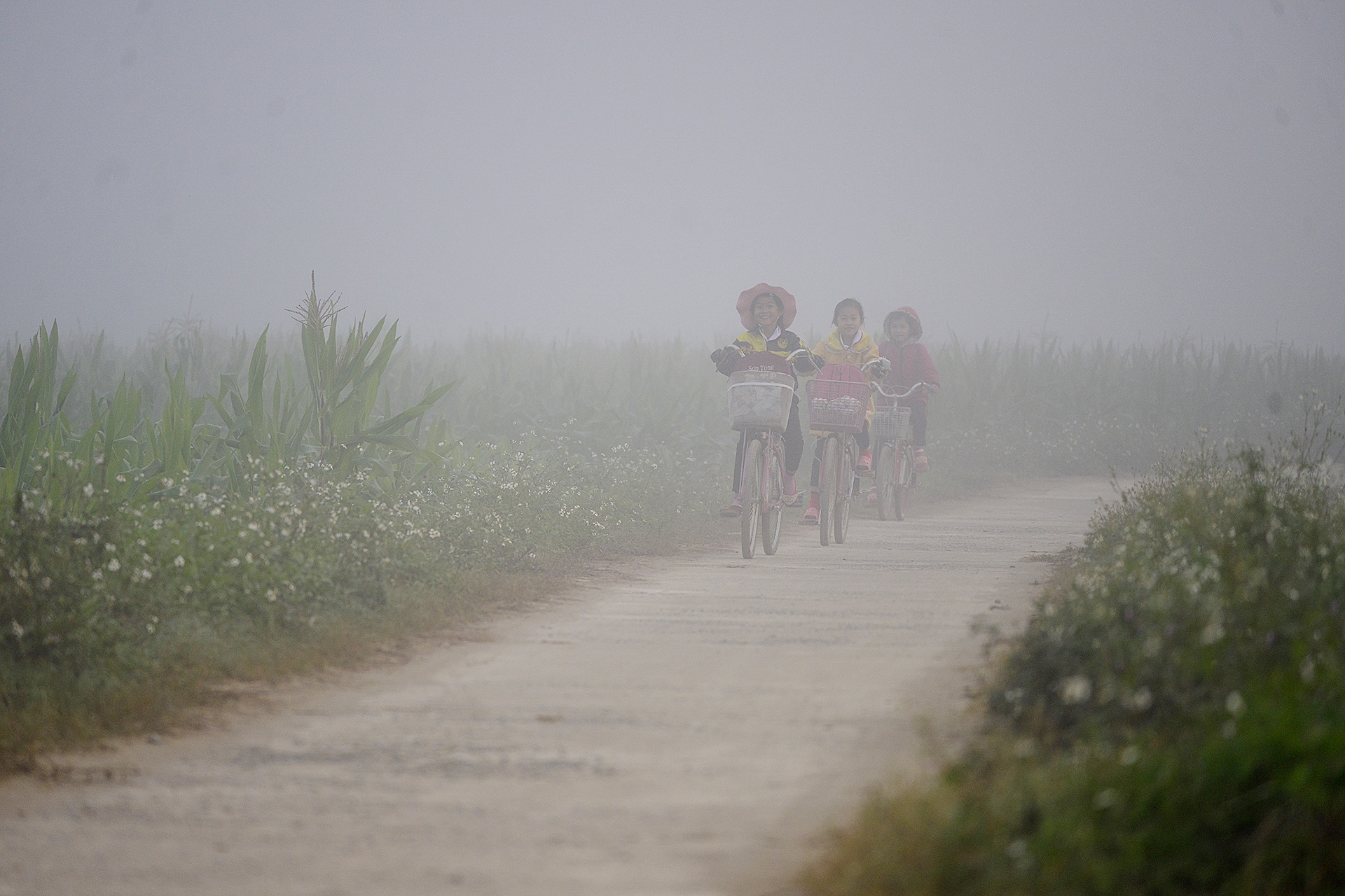 Cong tre nho qua suoi den truong anh 1