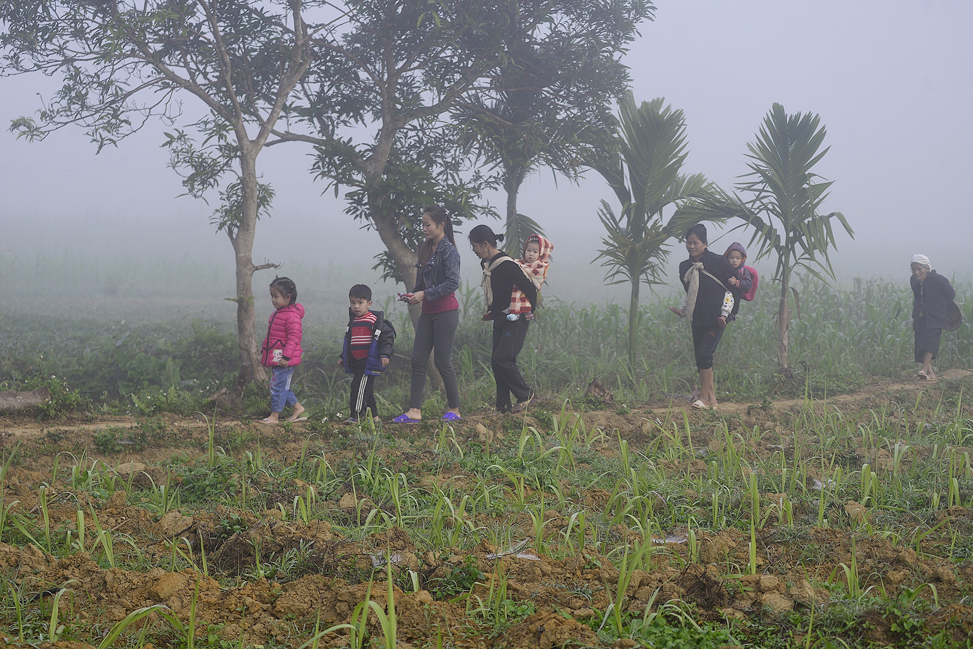 Cong tre nho qua suoi den truong anh 4