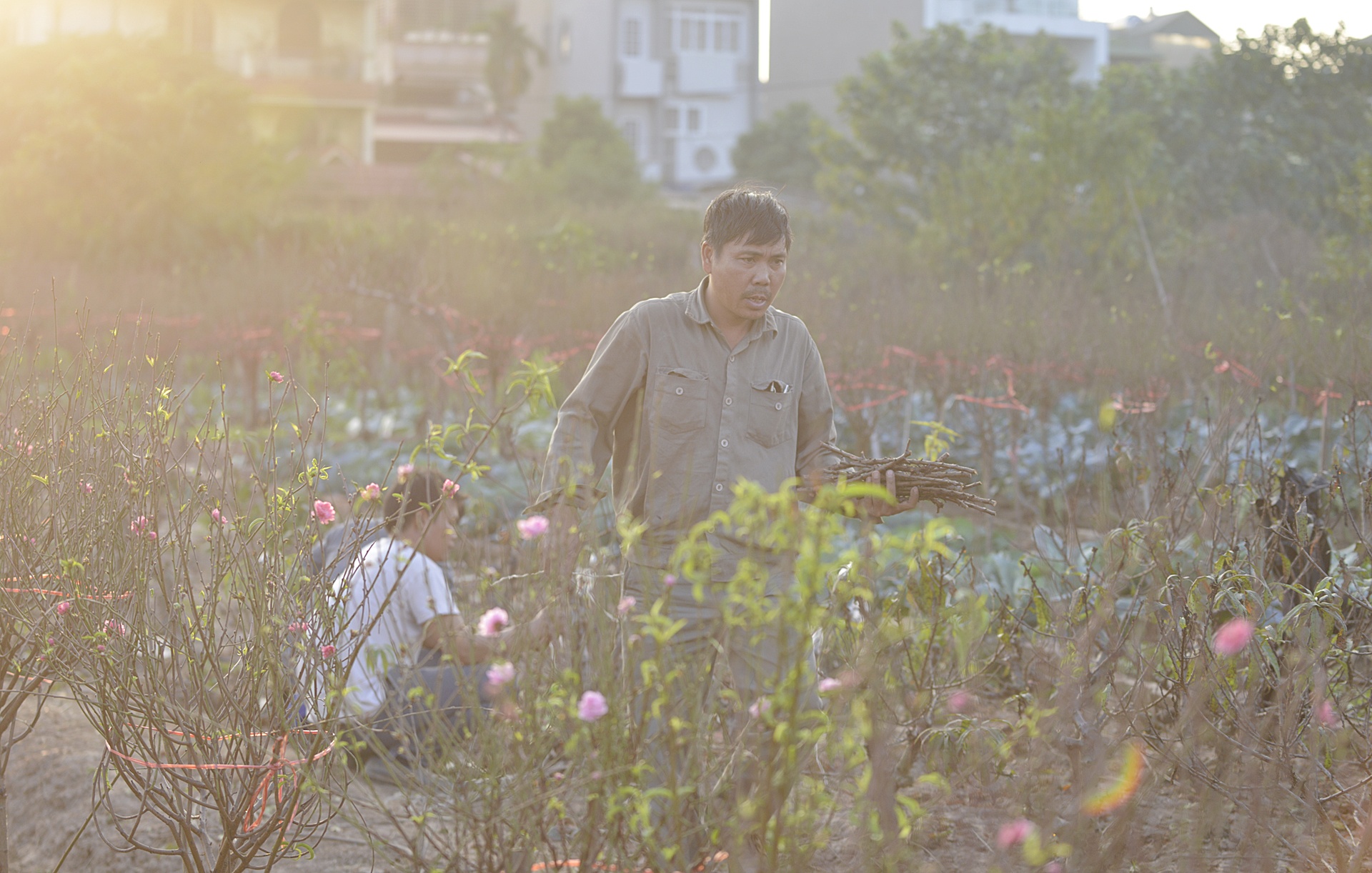 Dung dieu hoa u dao cho bung no anh 1