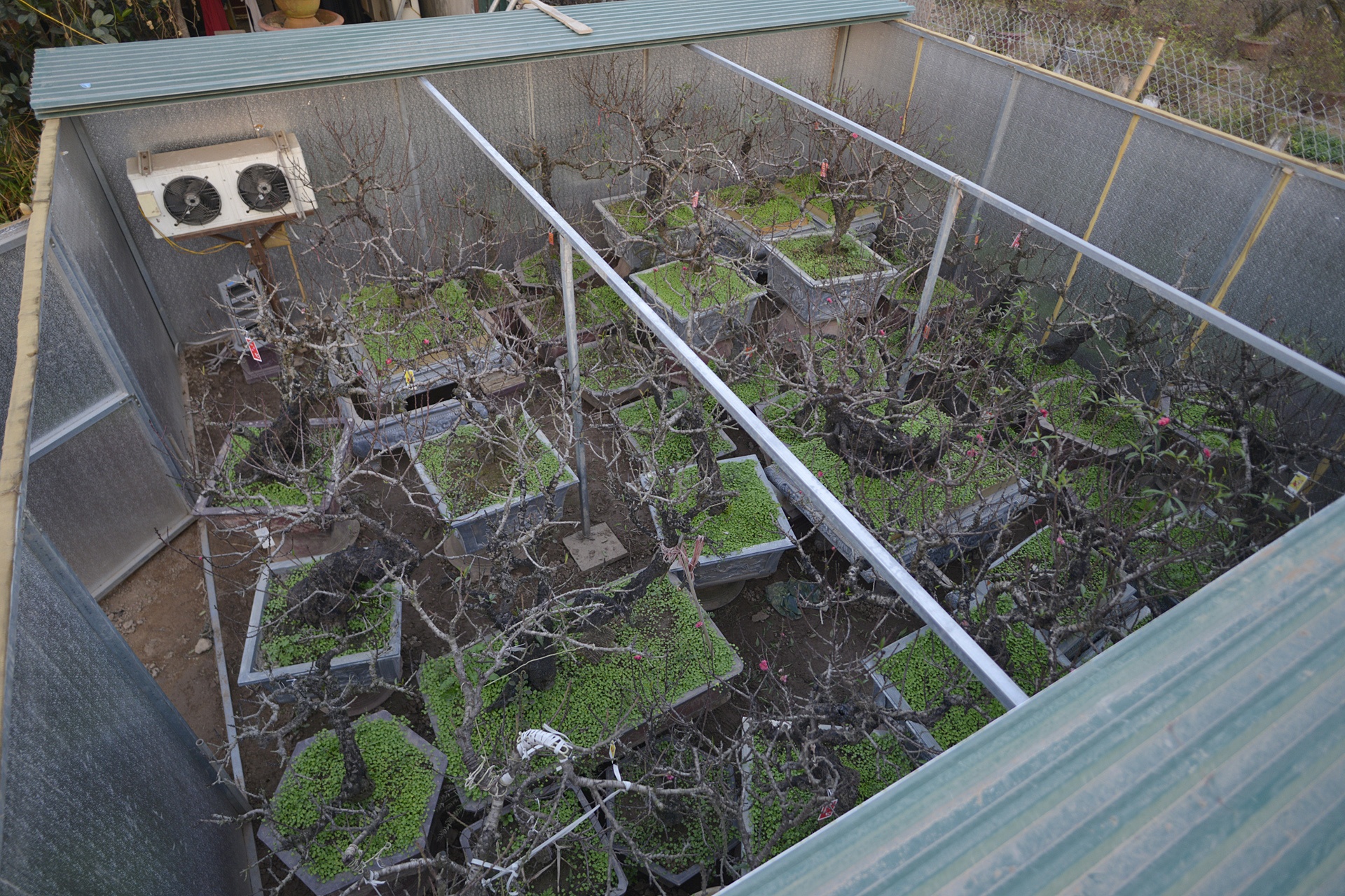 Dung dieu hoa u dao cho bung no anh 2