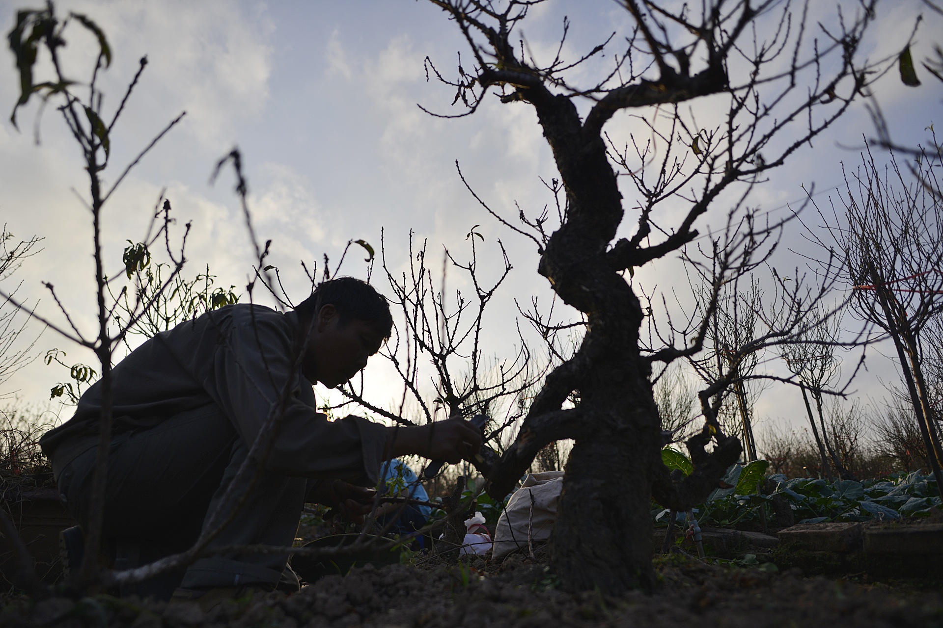 Dung dieu hoa u dao cho bung no anh 3