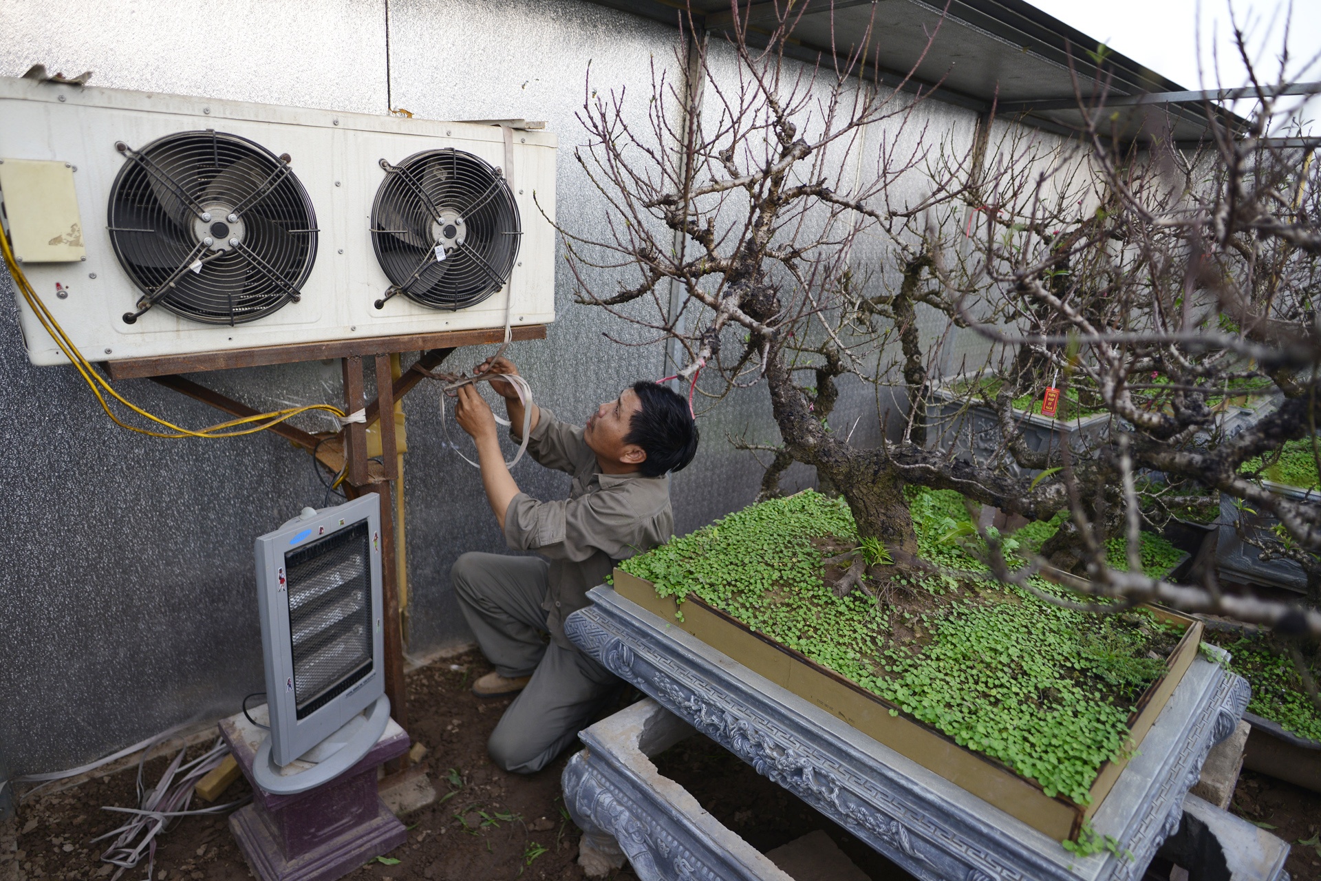 Dung dieu hoa u dao cho bung no anh 4