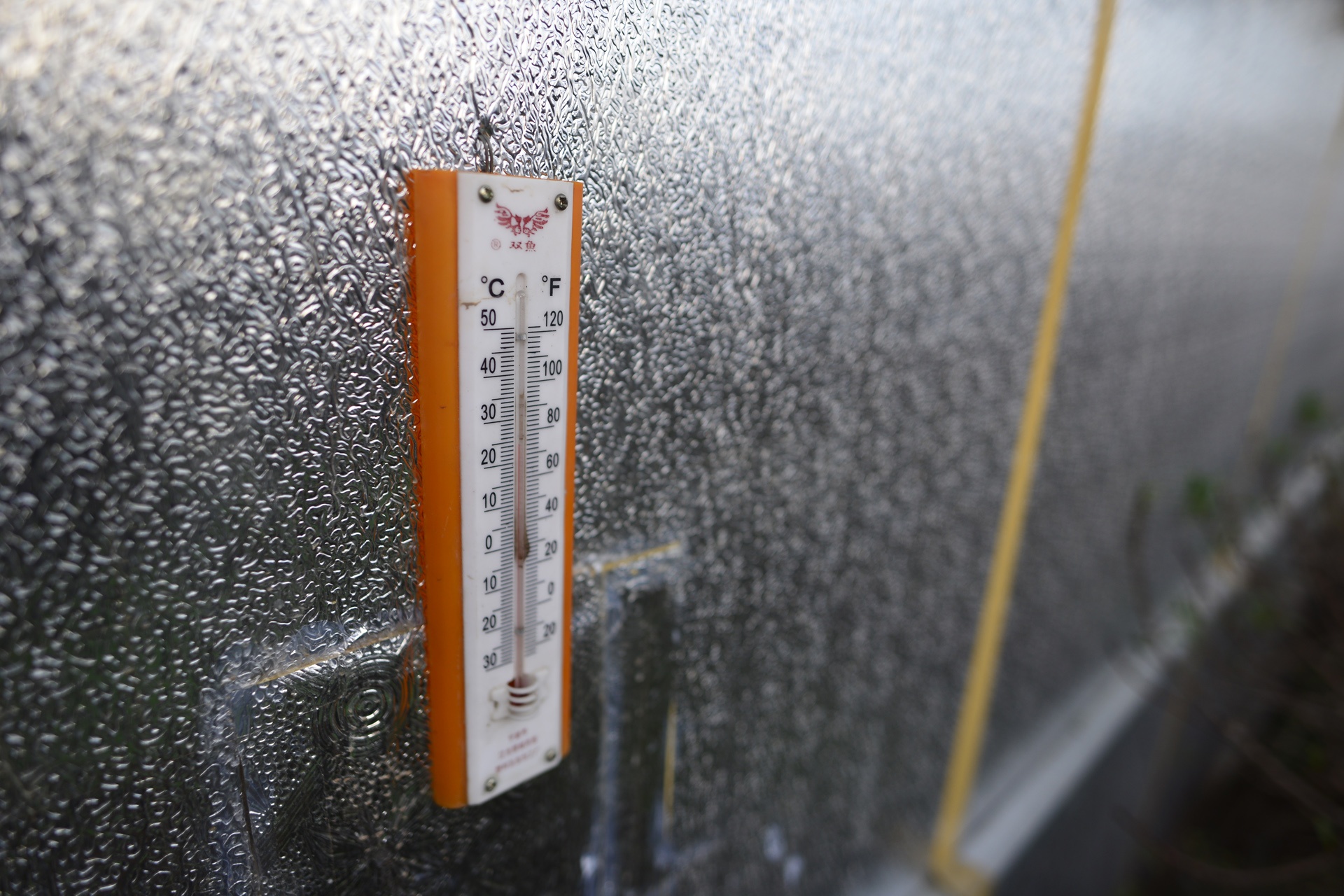 Dung dieu hoa u dao cho bung no anh 5