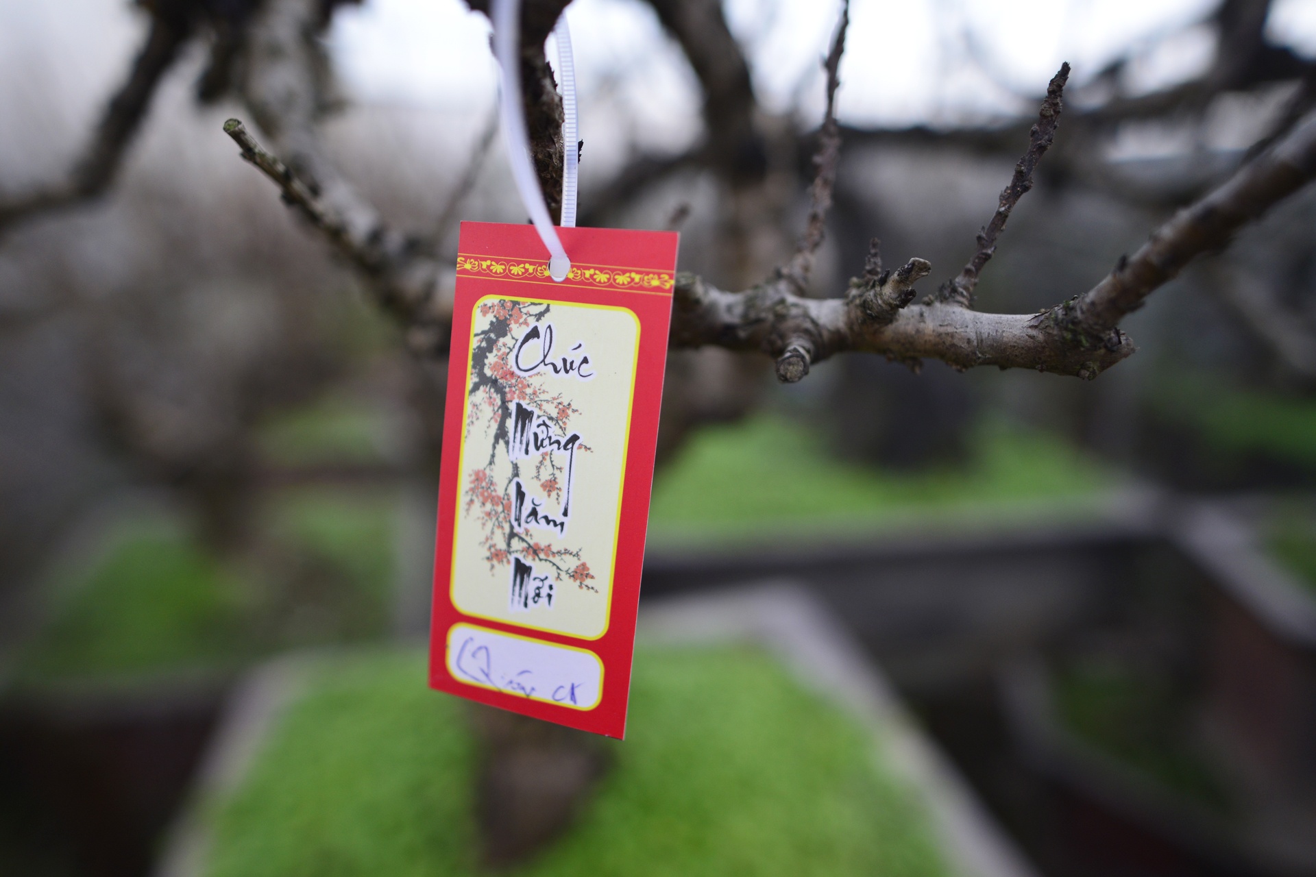 Dung dieu hoa u dao cho bung no anh 9