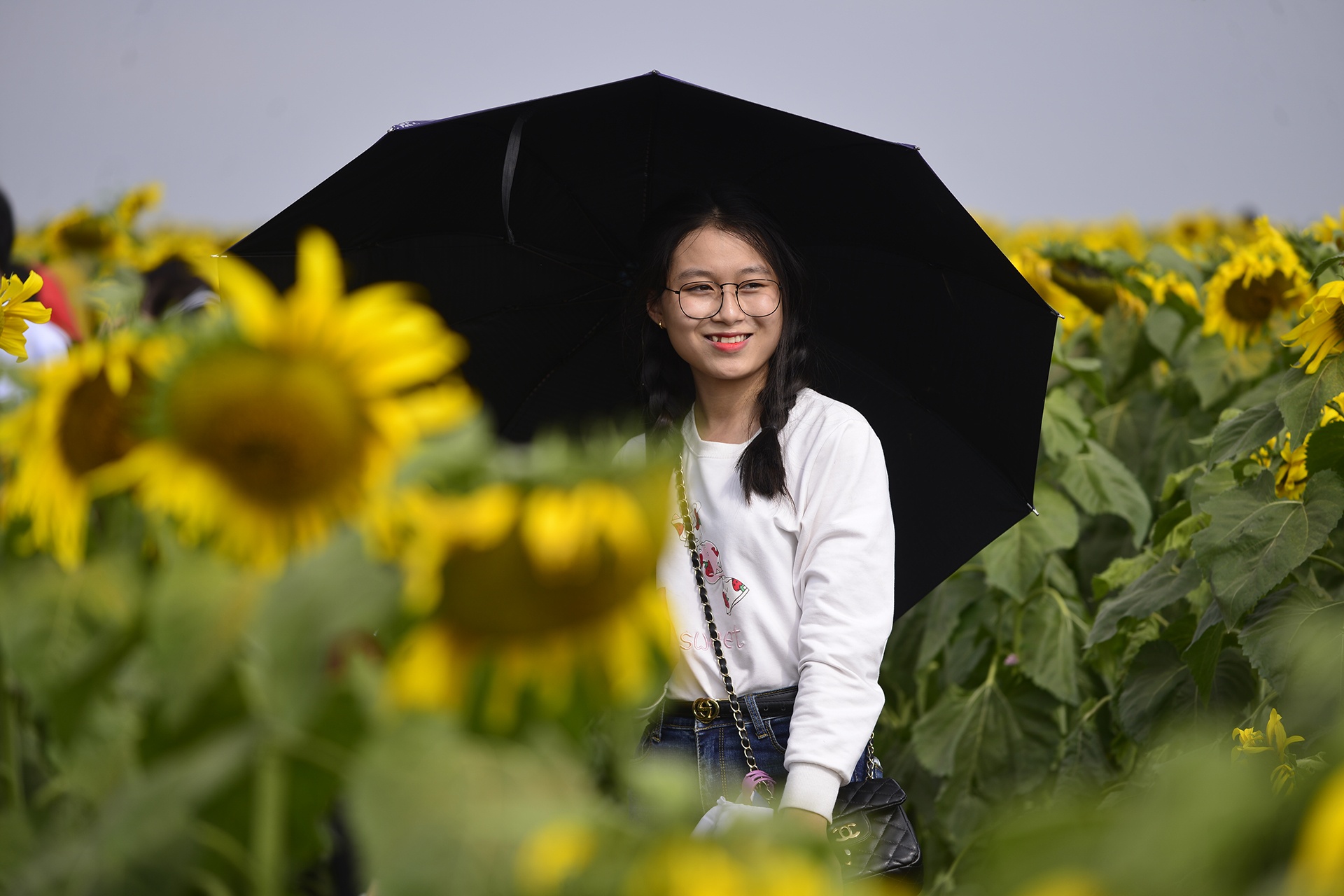 dong hoa huong duong anh 11