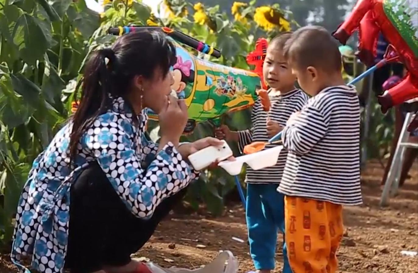 Canh pha hoa, xa rac trong ngay khai hoi hoa huong duong hinh anh