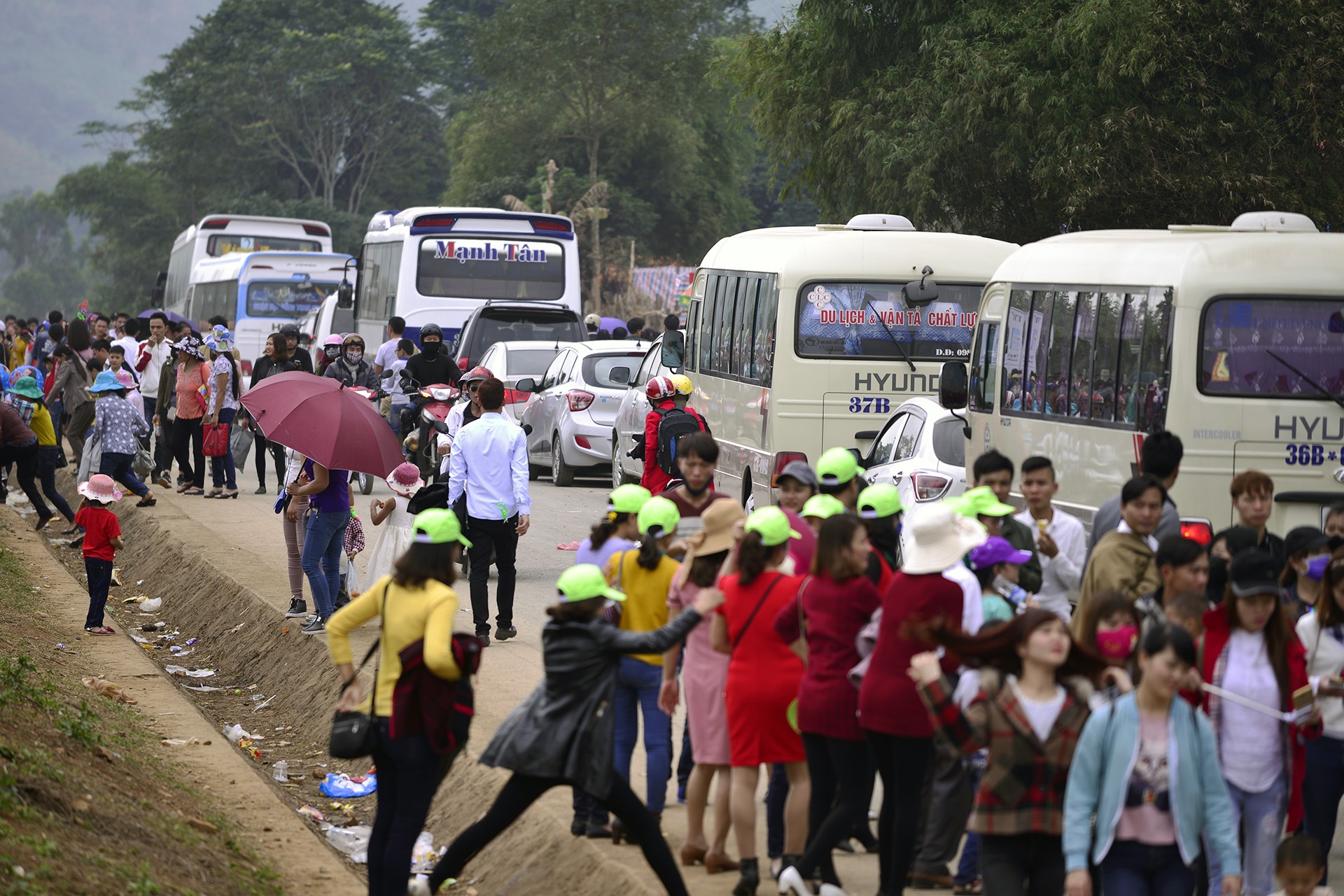 pha rao,  chen chuc tai canh dong hoa huong duong anh 14
