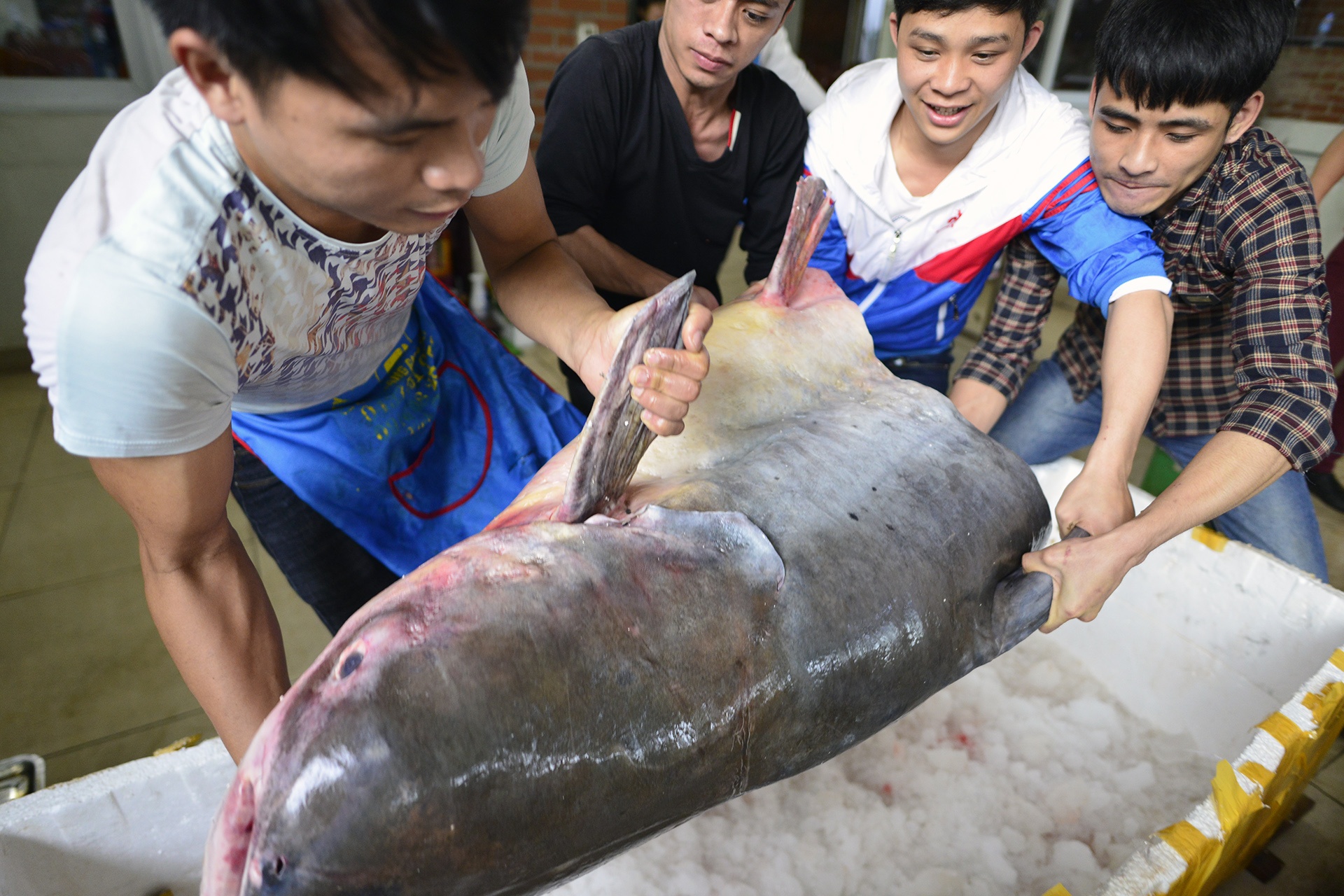 Ca khung don Tet o Ha Noi anh 10