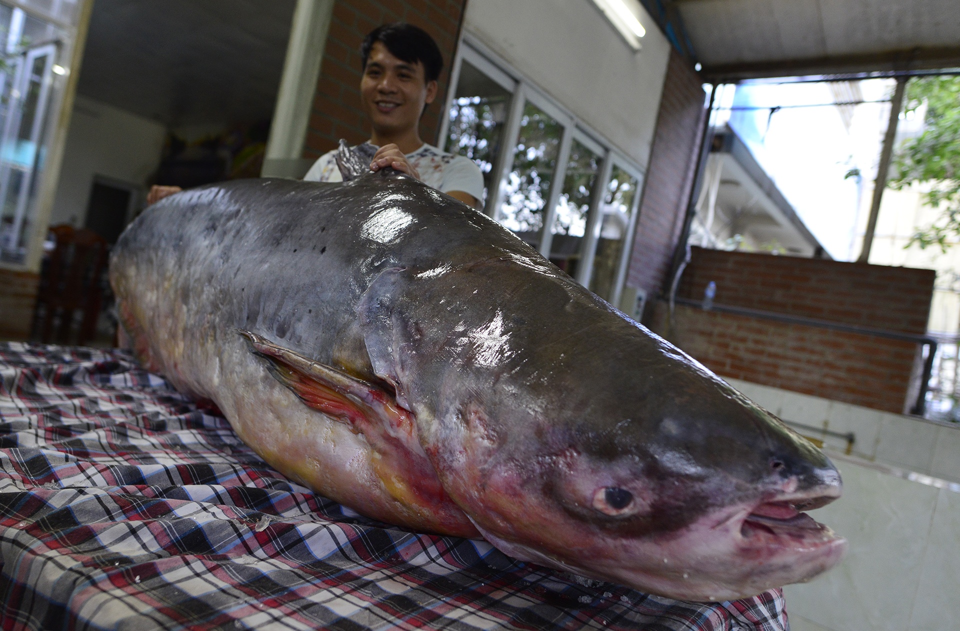 Ca khung don Tet o Ha Noi anh 1