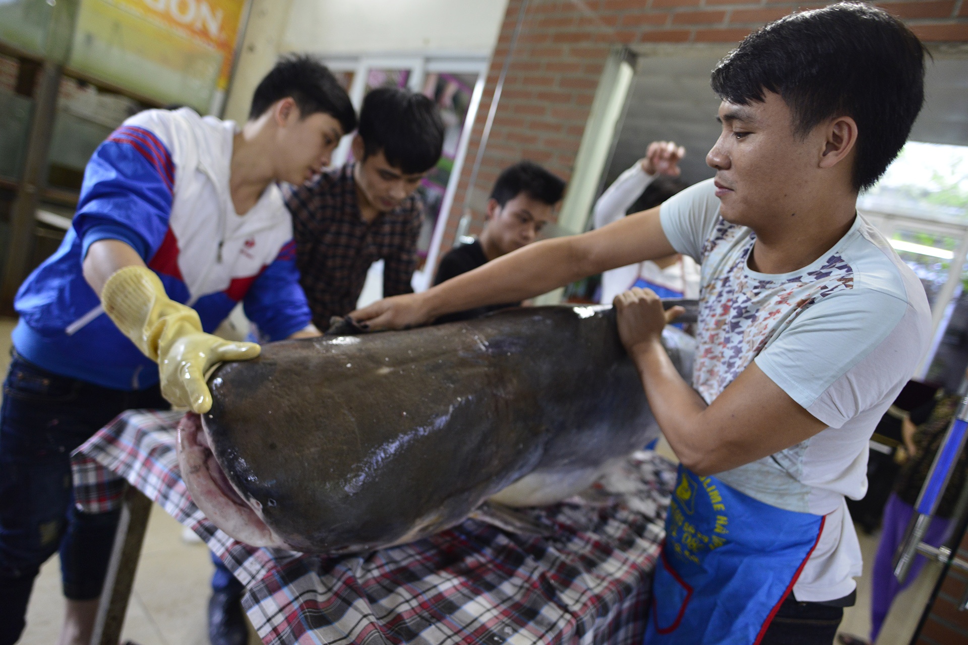 Ca khung don Tet o Ha Noi anh 2