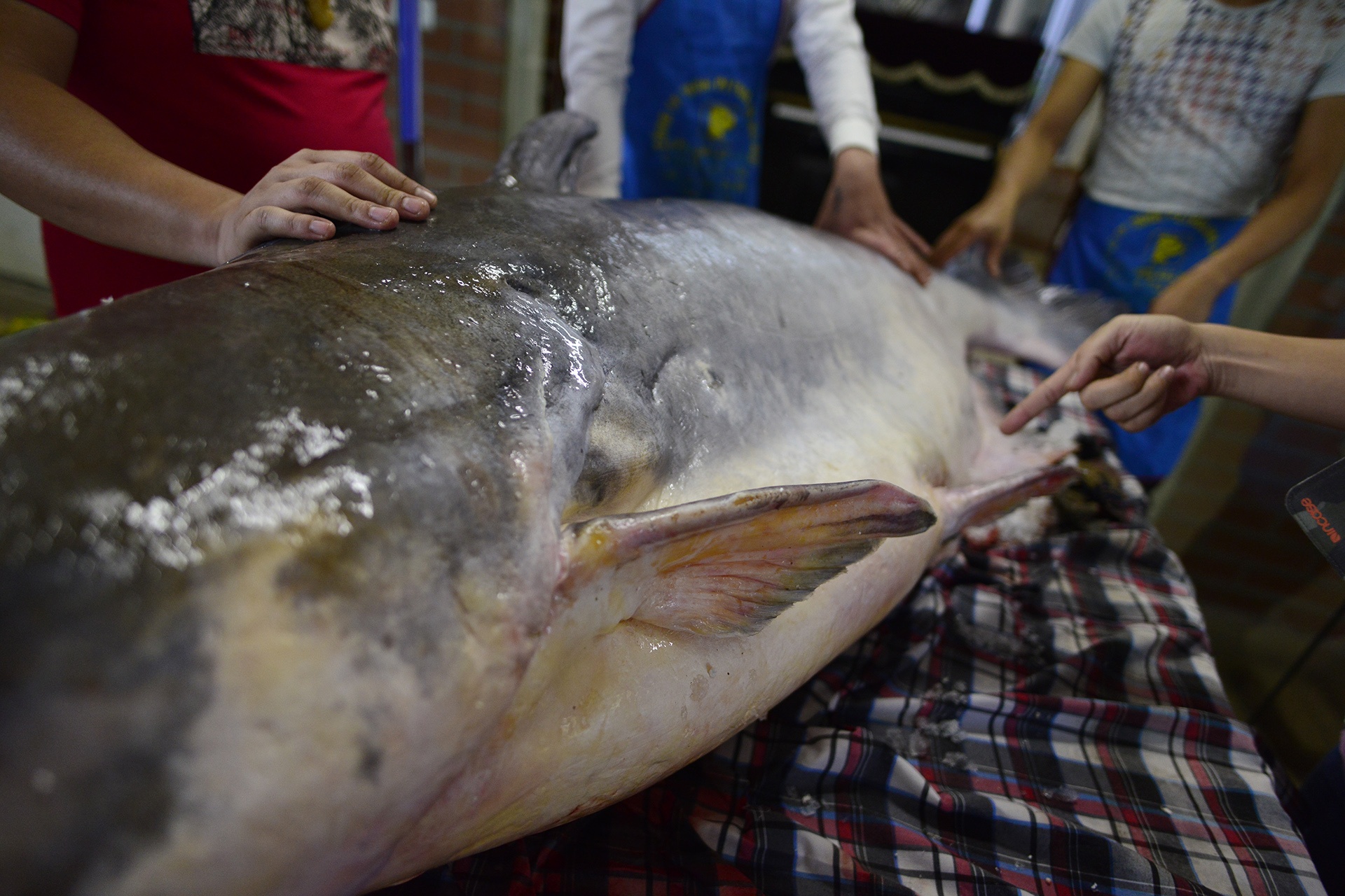 Ca khung don Tet o Ha Noi anh 4