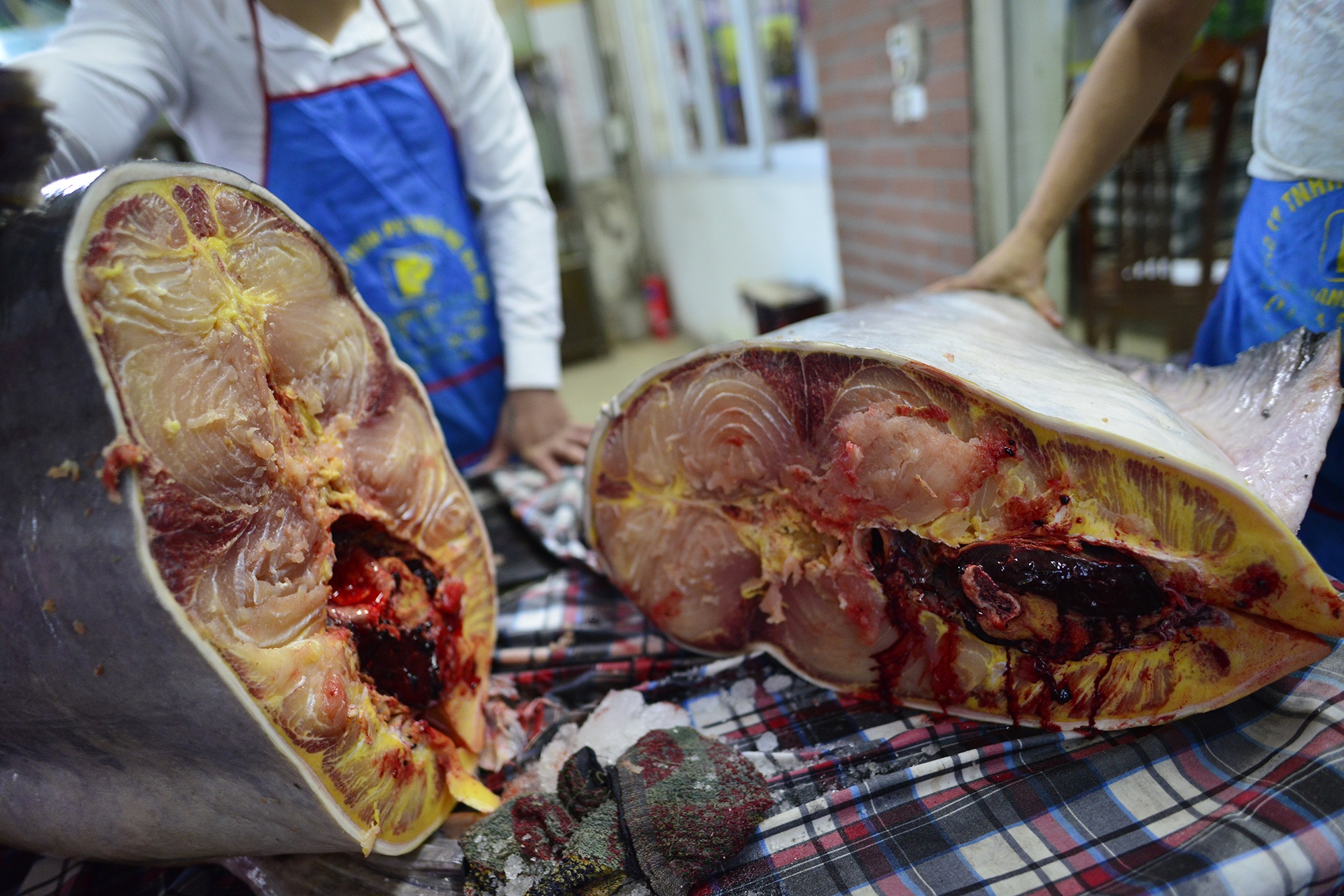 Ca khung don Tet o Ha Noi anh 8