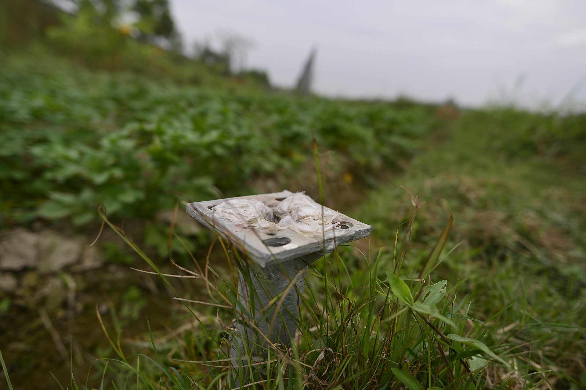 Xe khach tron camera tren cao toc Noi Bai Lao Cai anh 10