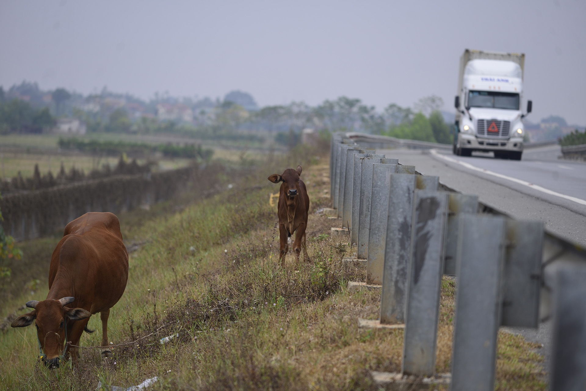 Xe khach tron camera tren cao toc Noi Bai Lao Cai anh 11