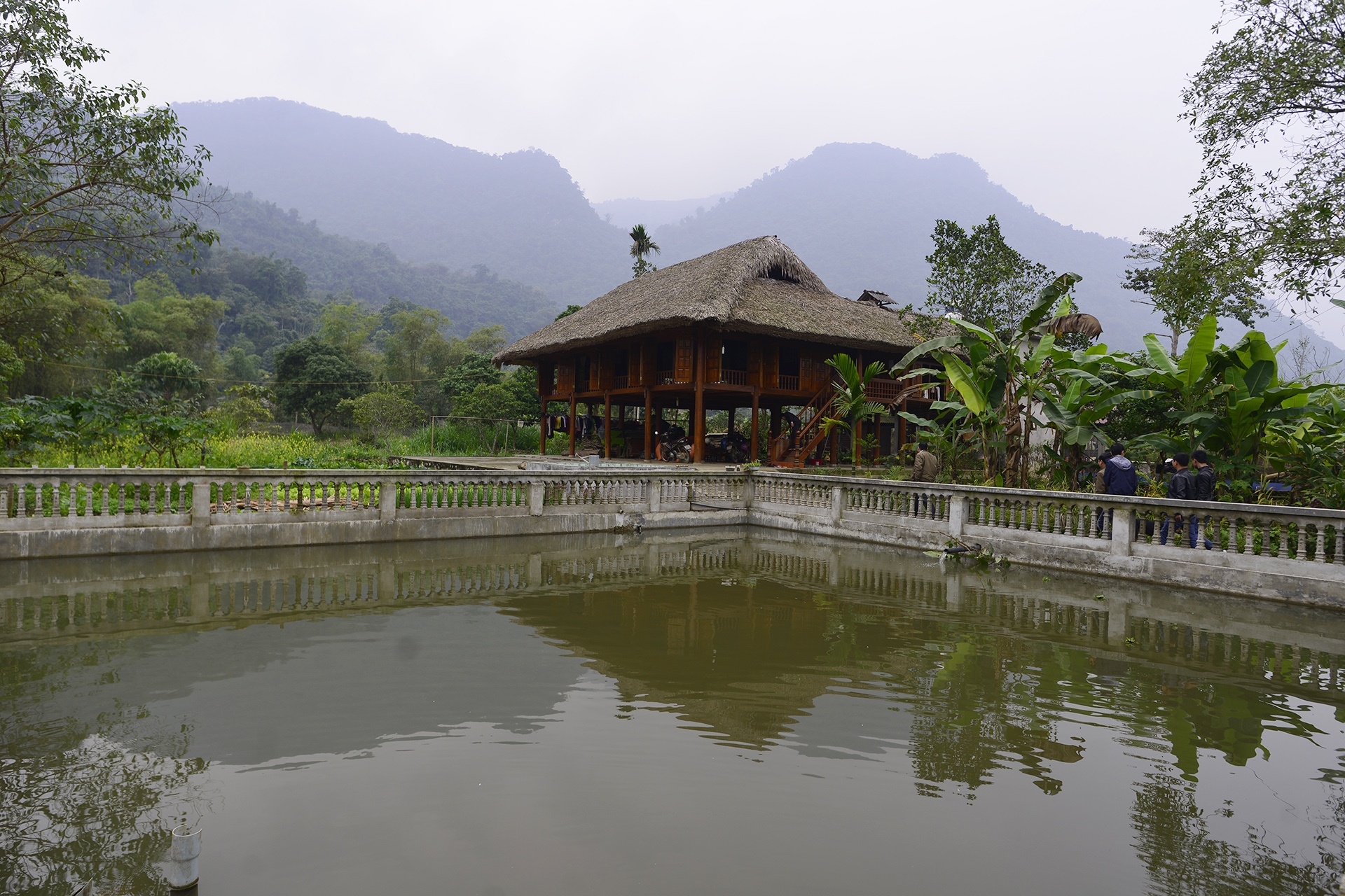 dac san ga trong thien Yen Bai anh 11