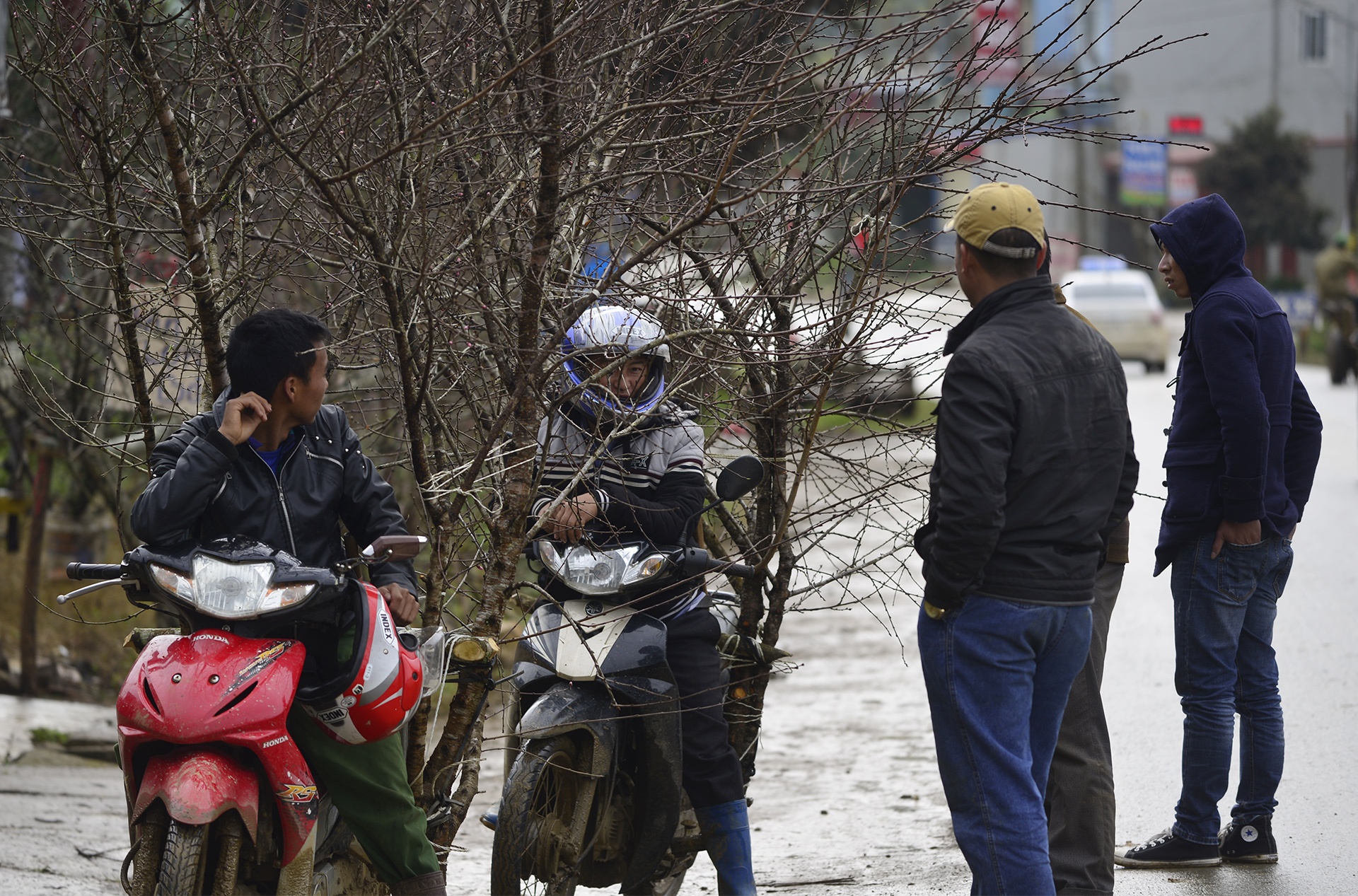 chat dao rung xuong quoc lo ban anh 11