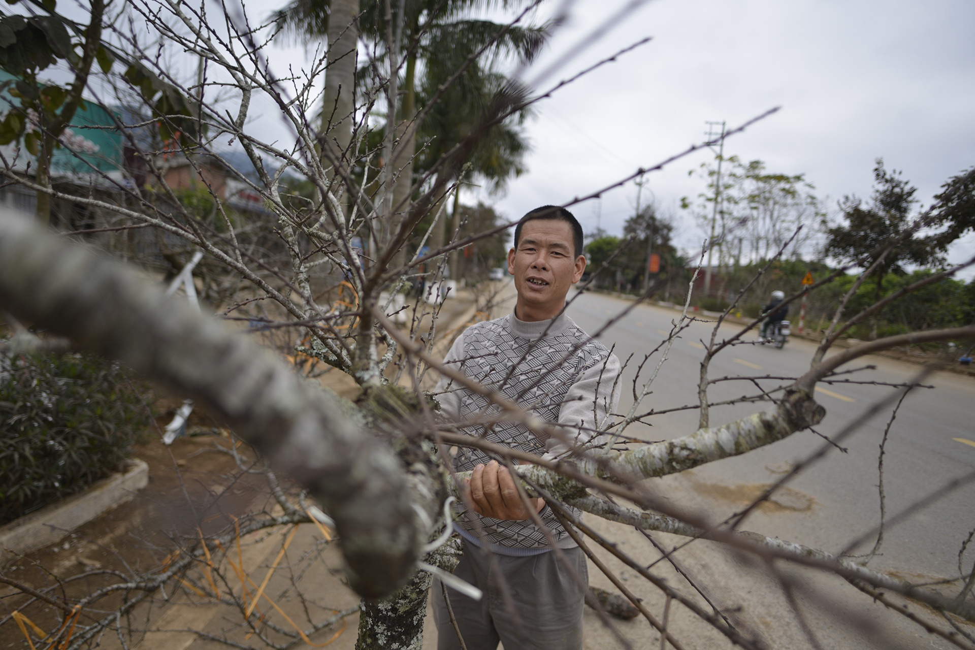 chat dao rung xuong quoc lo ban anh 12