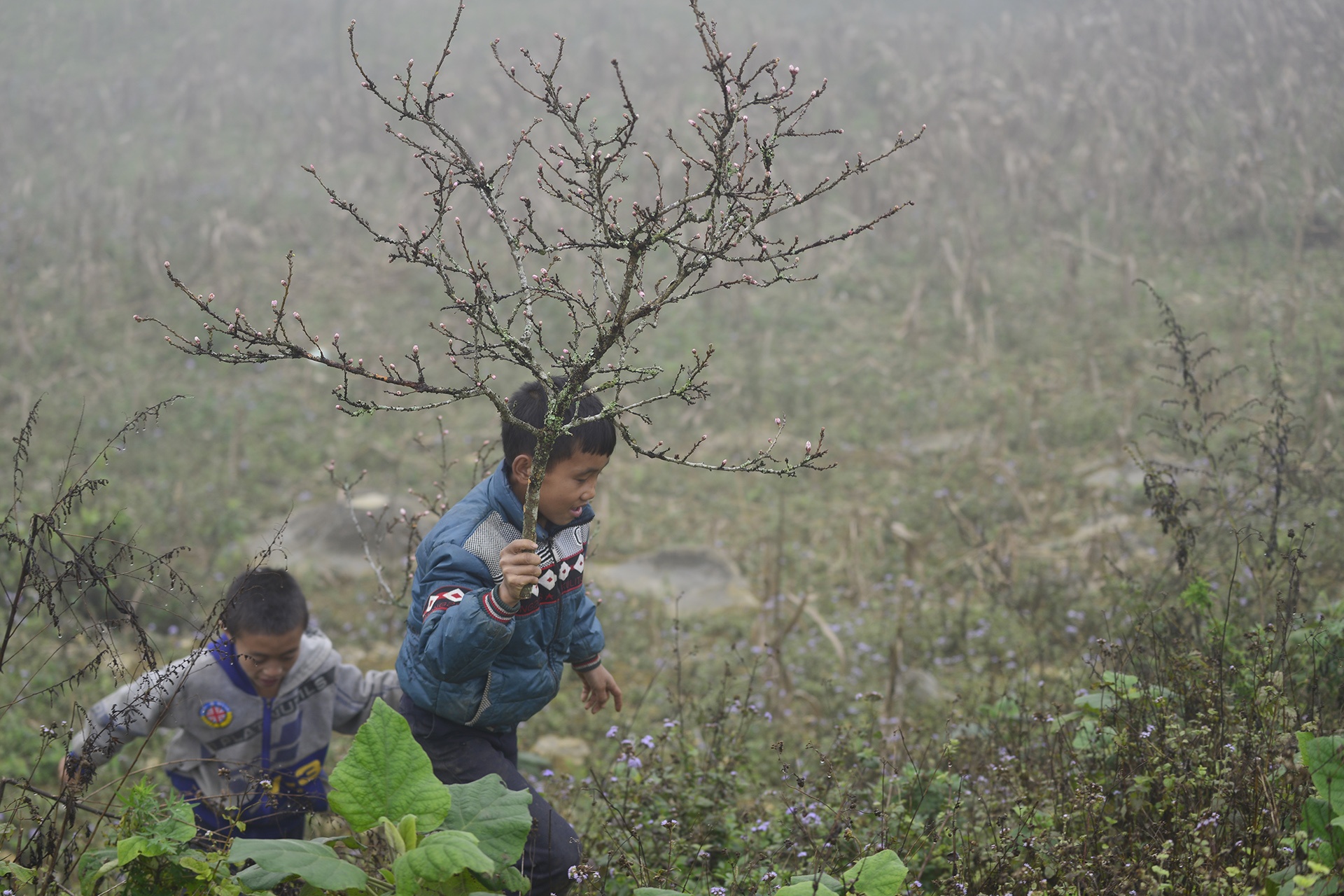 chat dao rung xuong quoc lo ban anh 13