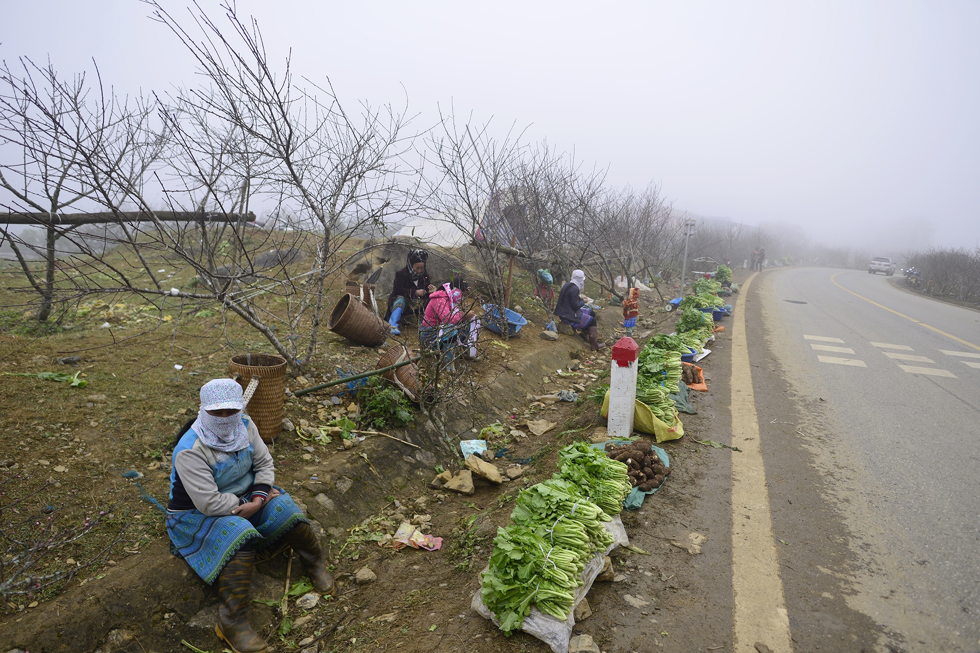 chat dao rung xuong quoc lo ban anh 1