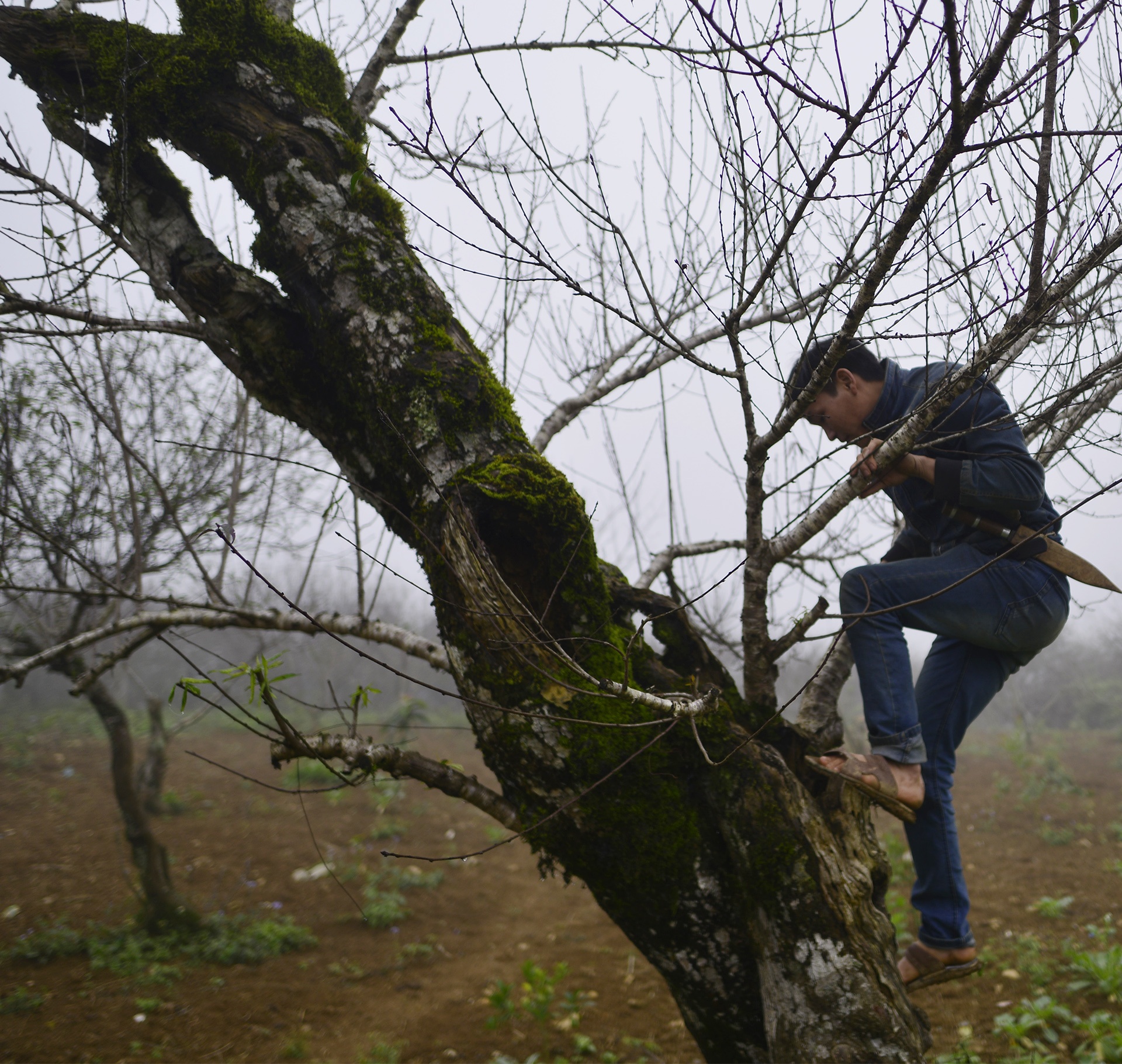 chat dao rung xuong quoc lo ban anh 2