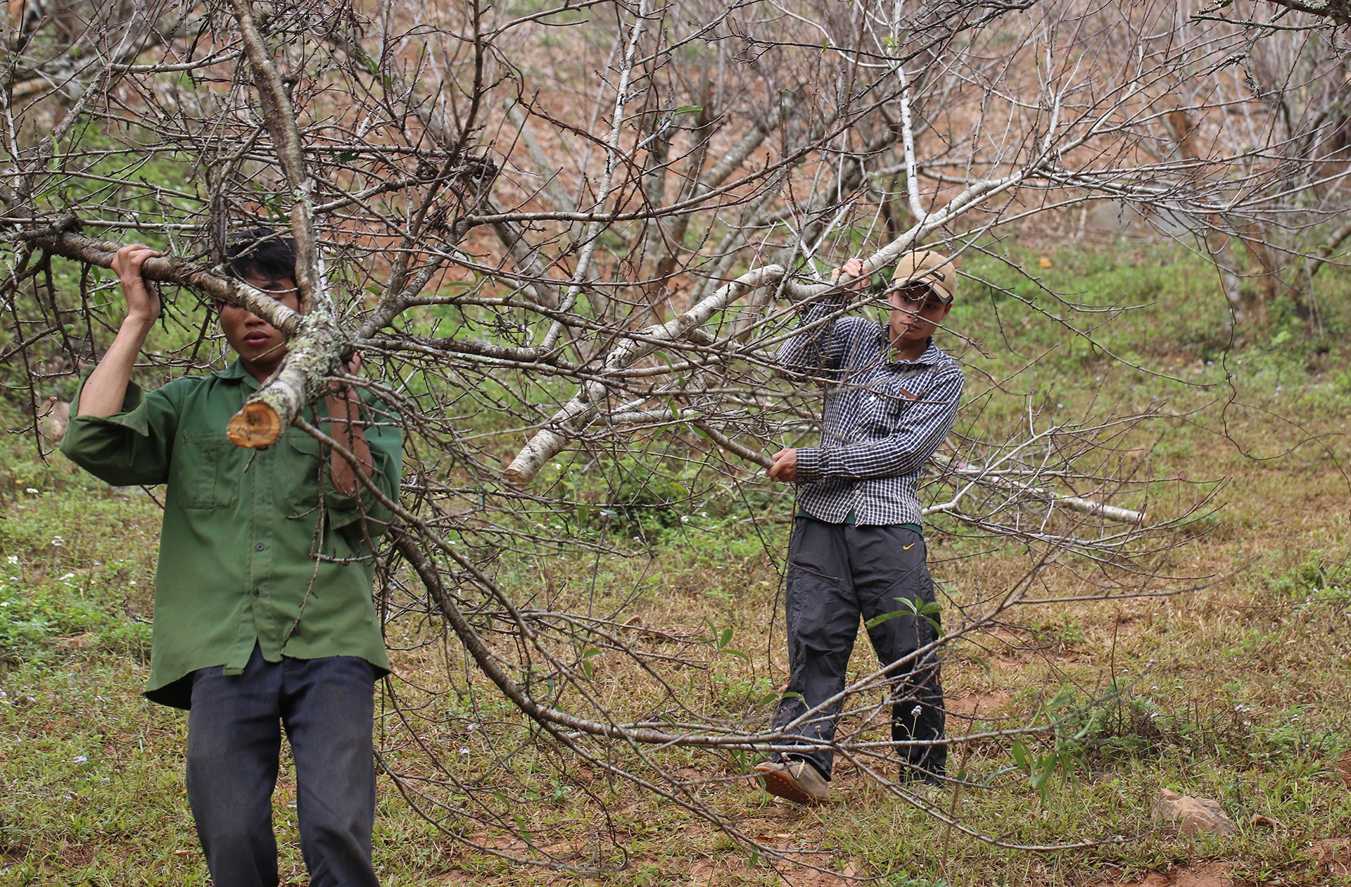 chat dao rung xuong quoc lo ban anh 3