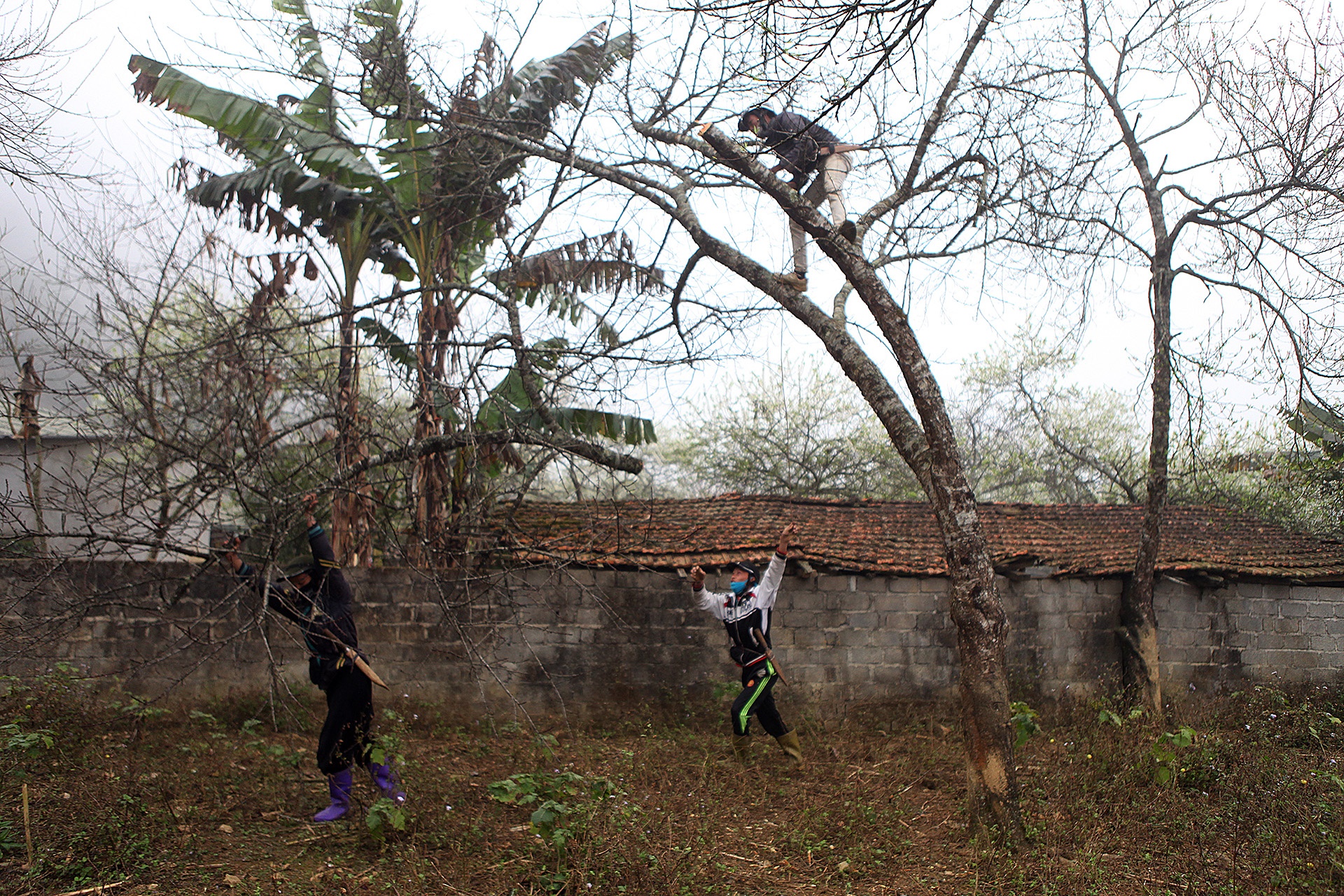 chat dao rung xuong quoc lo ban anh 6