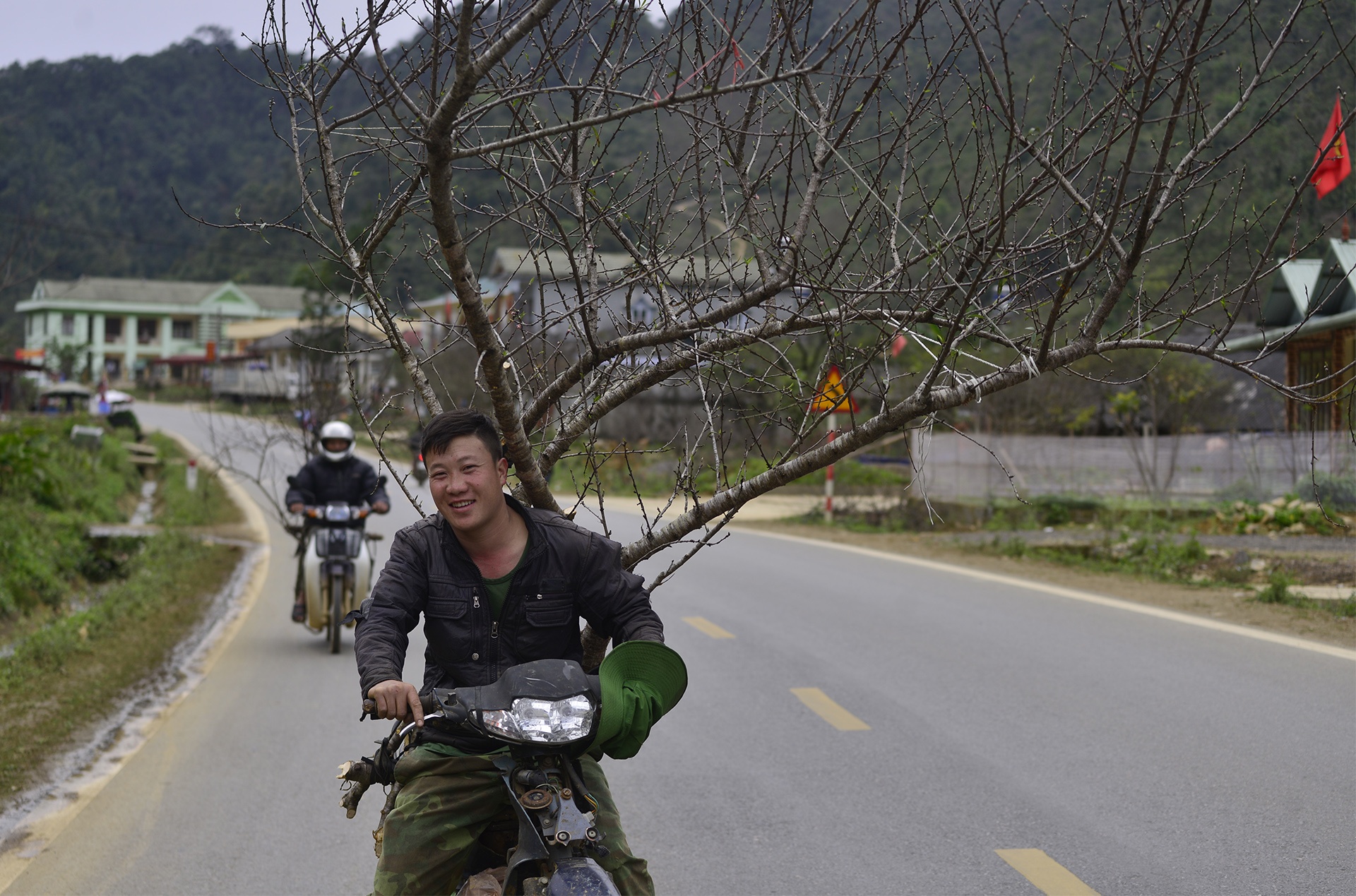 Dao rung Son La bat dau ve cho Tet mien xuoi hinh anh