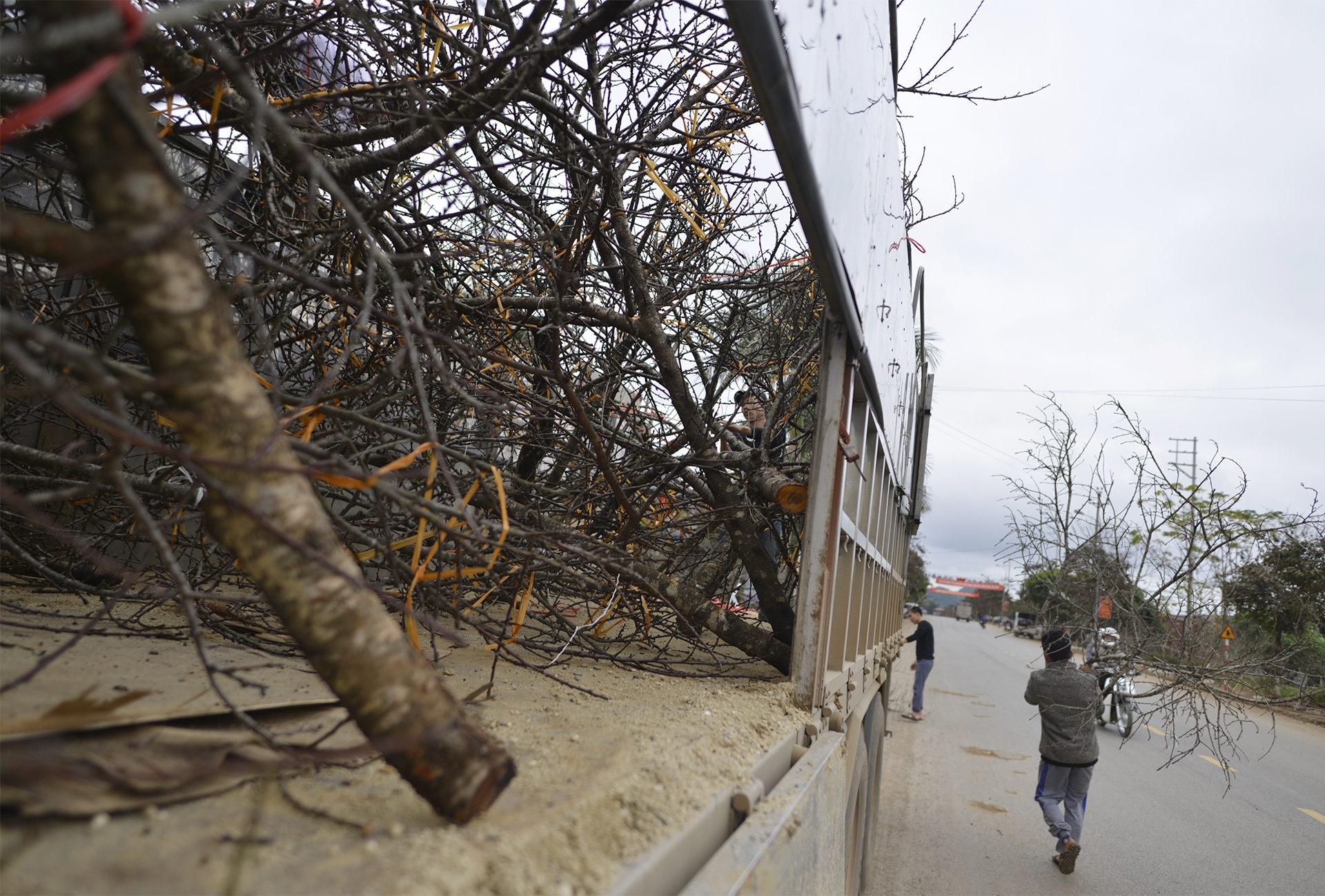 chat dao rung xuong quoc lo ban anh 8