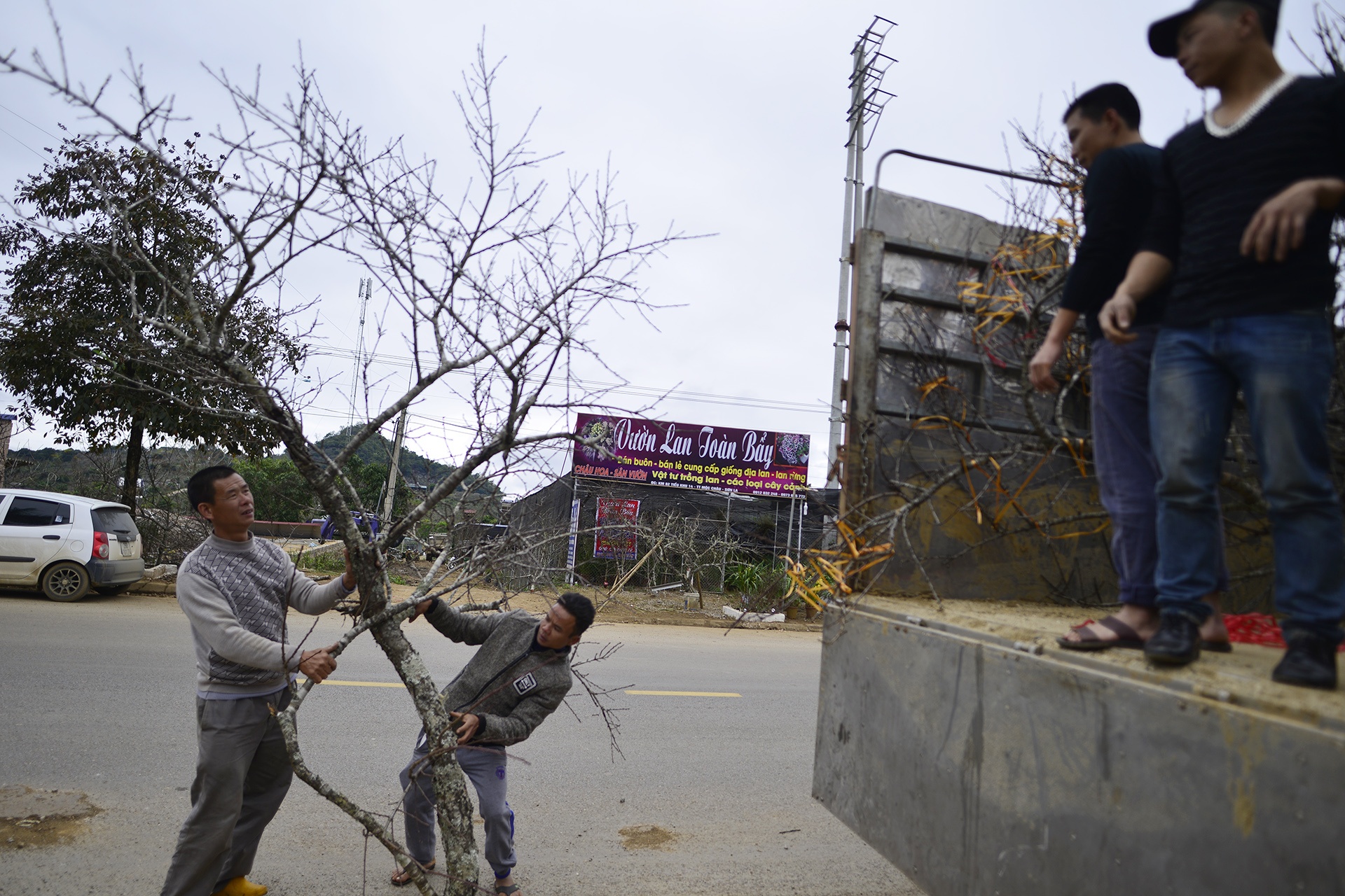 chat dao rung xuong quoc lo ban anh 9