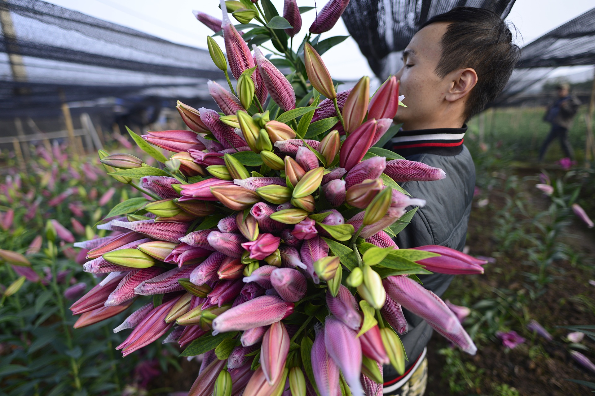 Nguoi trong hoa ly thiet hai hang tram trieu dong anh 11