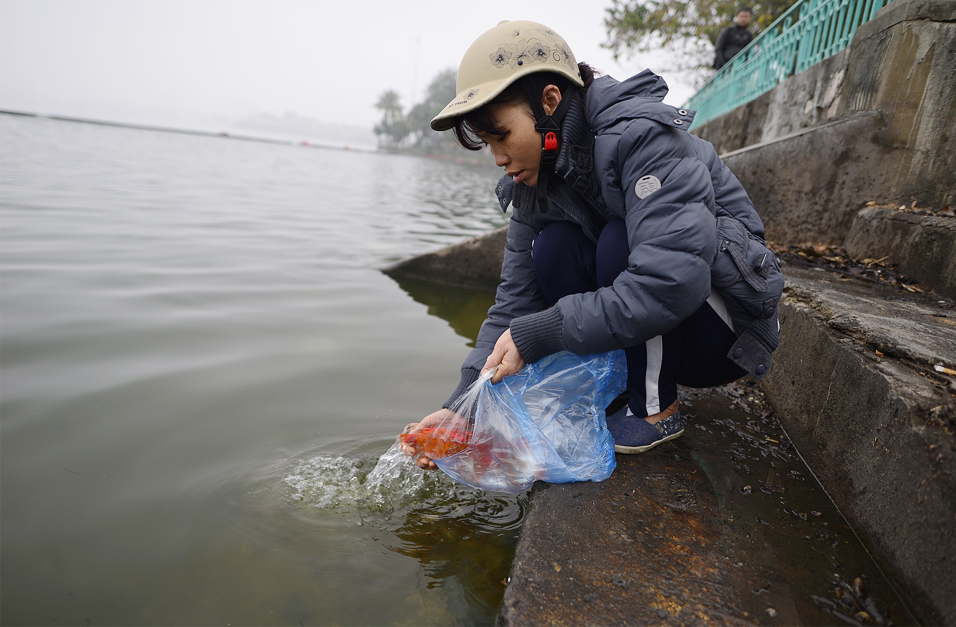 Nguoi Ha Noi tha ca chep som anh 1