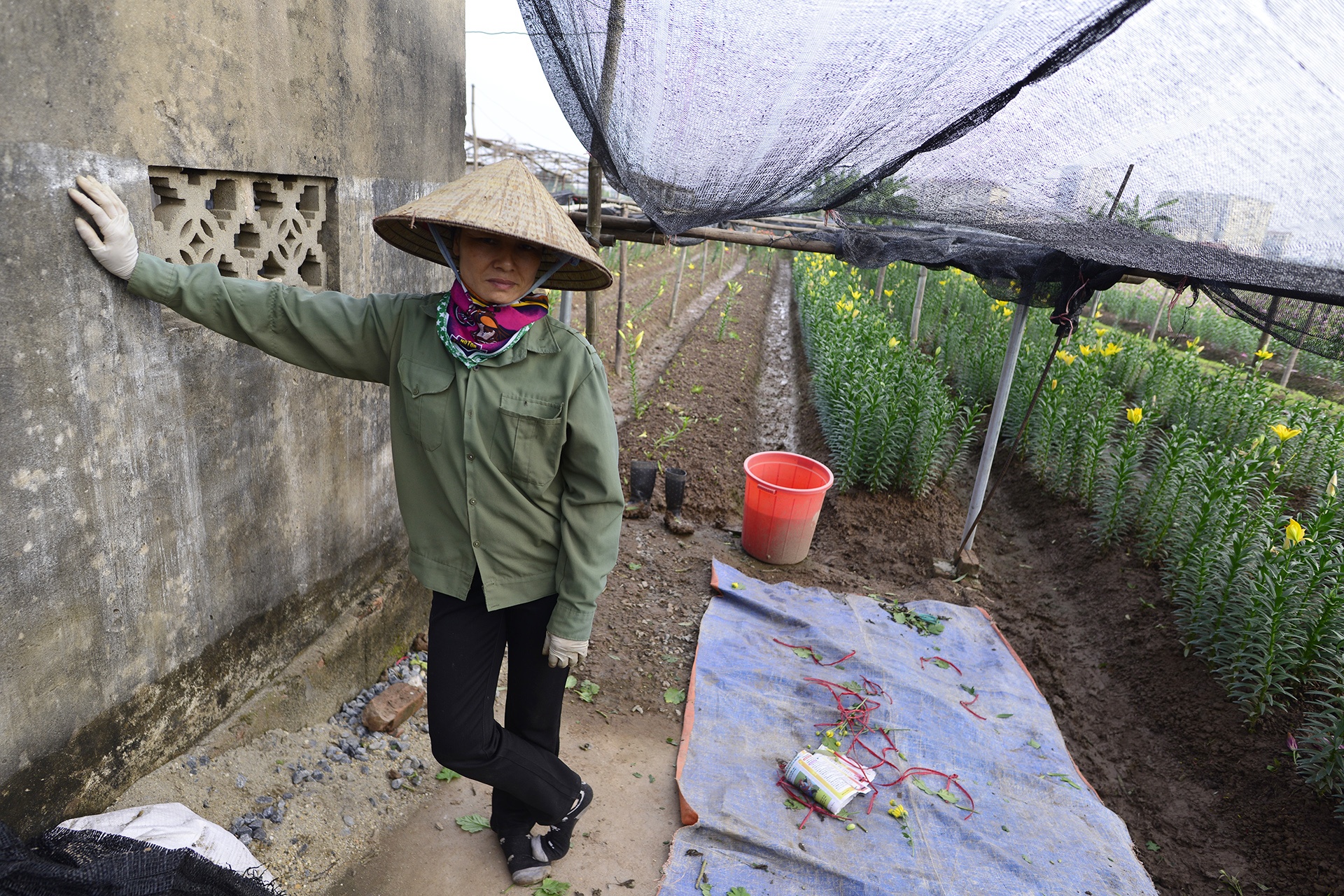 Nguoi trong hoa ly thiet hai hang tram trieu dong anh 6