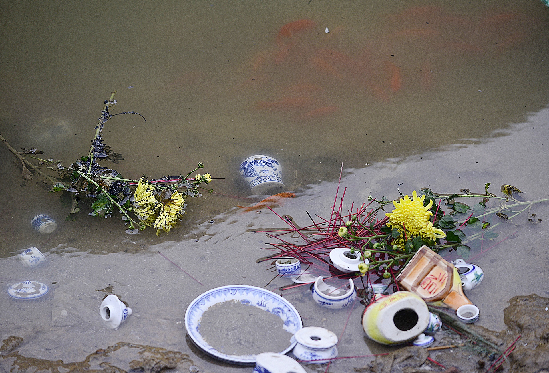 Nguoi Ha Noi tha ca chep som anh 6