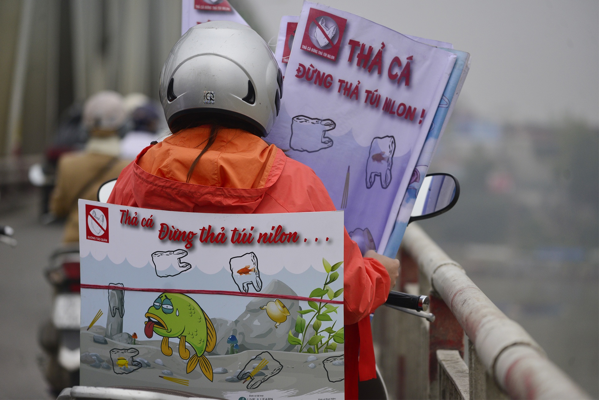 Nguoi Ha Noi tha ca chep som anh 8