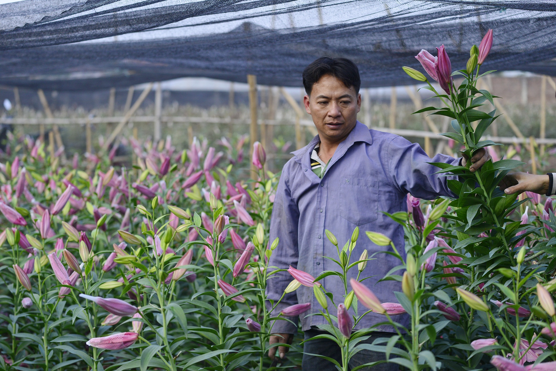 Nguoi trong hoa ly thiet hai hang tram trieu dong anh 7