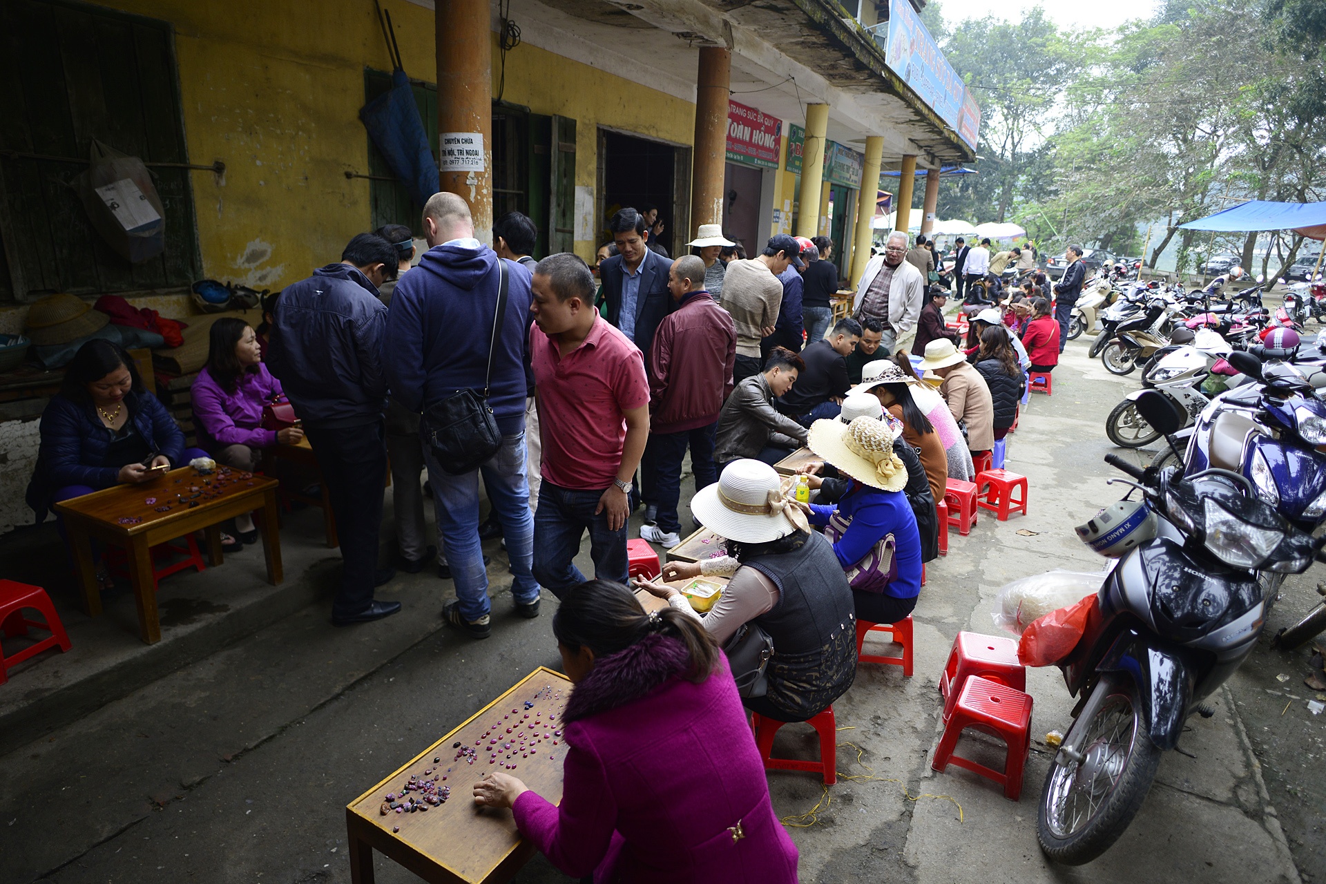 Cho da quy ban nhu rau nhon nhip dip can Tet anh 3