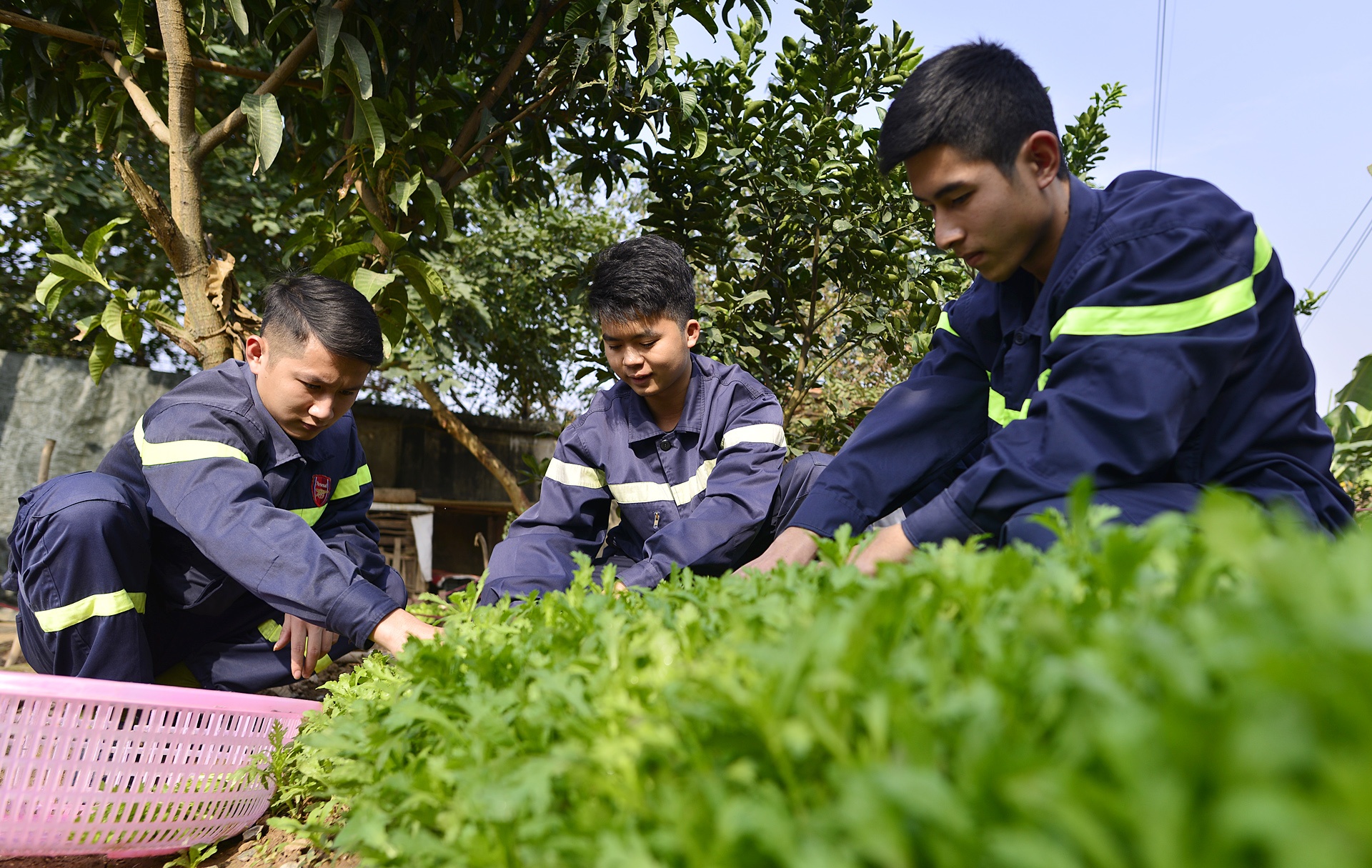 Canh sat PCCC tro tai goi banh chung anh 11