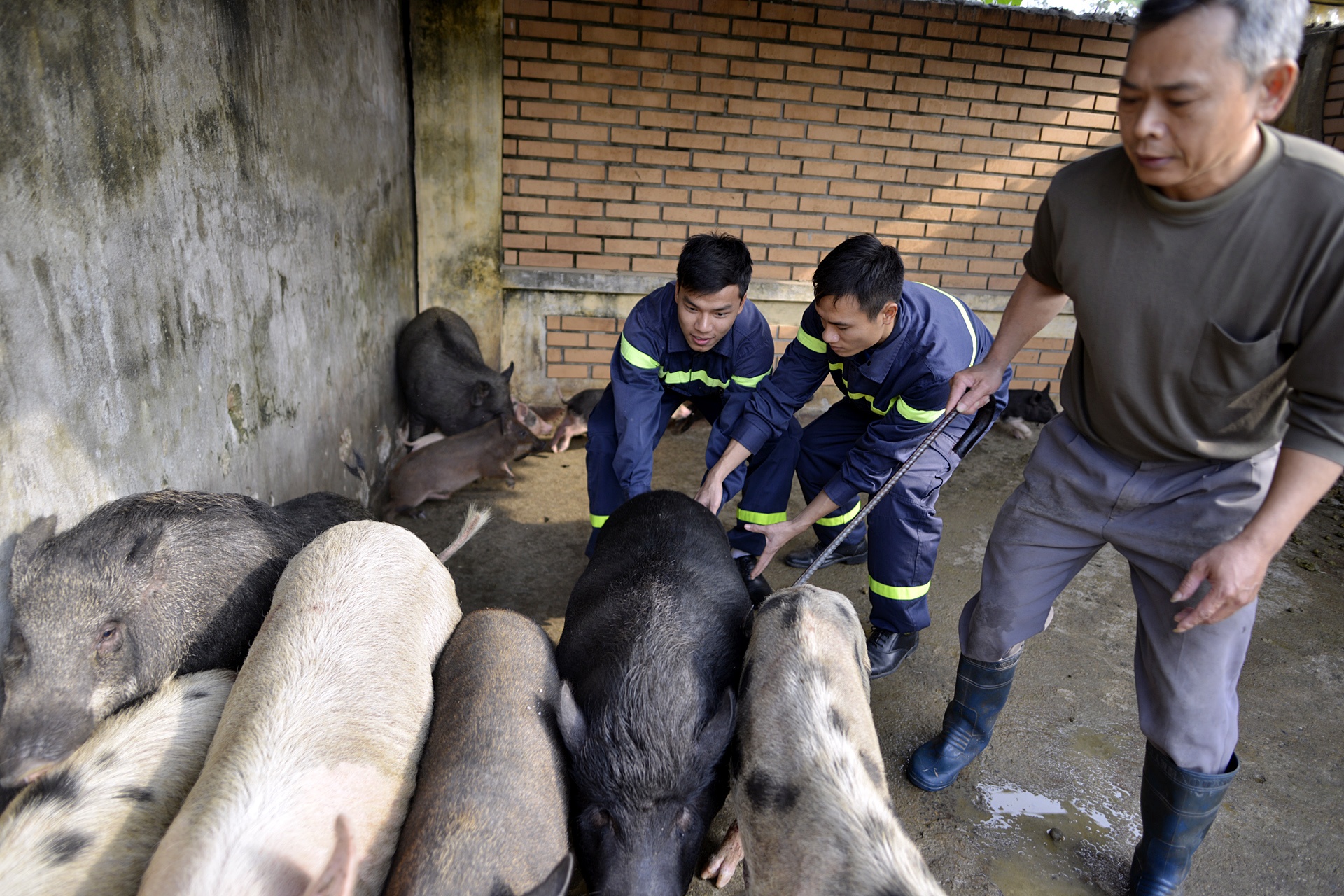 Canh sat PCCC tro tai goi banh chung anh 2