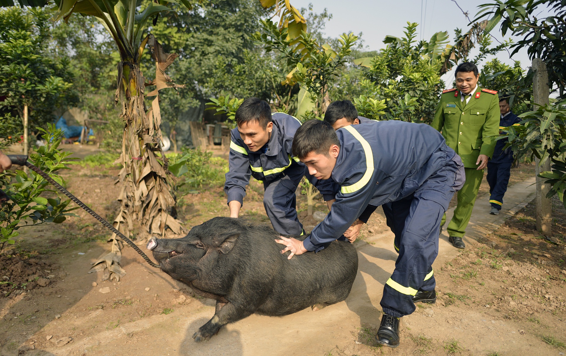 Canh sat PCCC tro tai goi banh chung anh 3