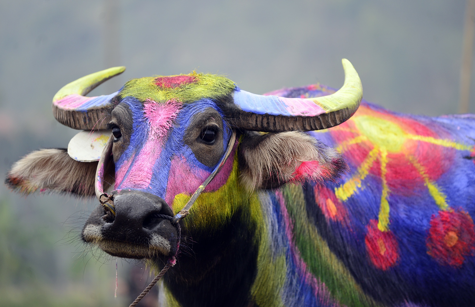 Chu tich nuoc lai may cay o le hoi Tich Dien anh 10