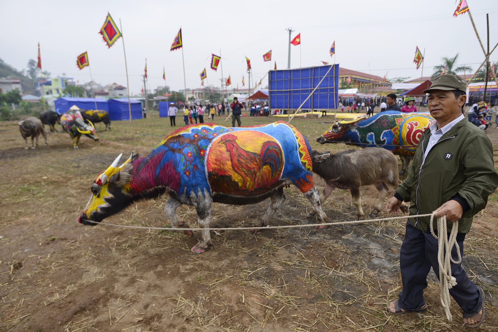 Chu tich nuoc lai may cay o le hoi Tich Dien anh 11