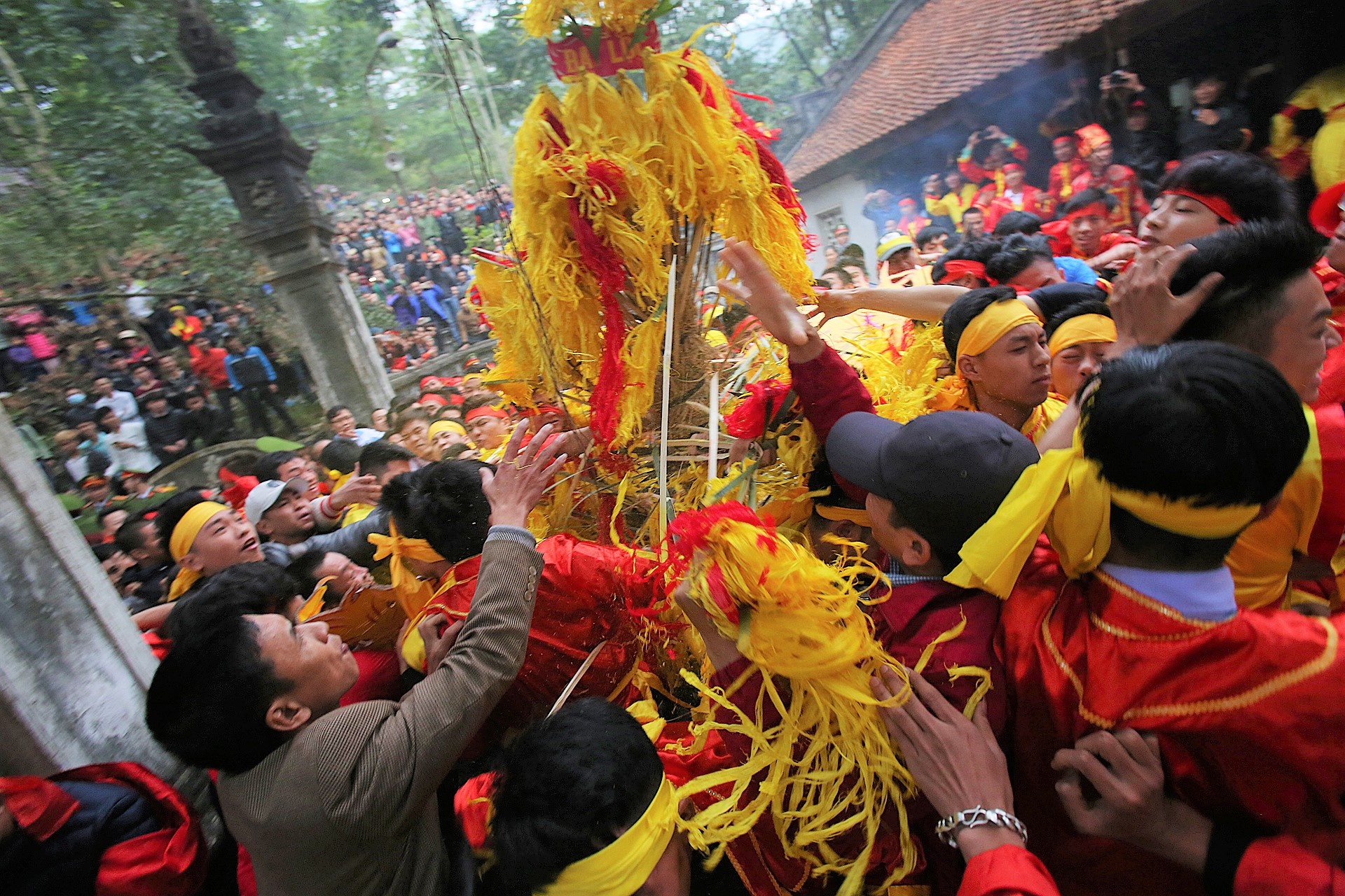 Hang tram thanh nien tranh cuop hoa tre tai hoi Giong hinh anh