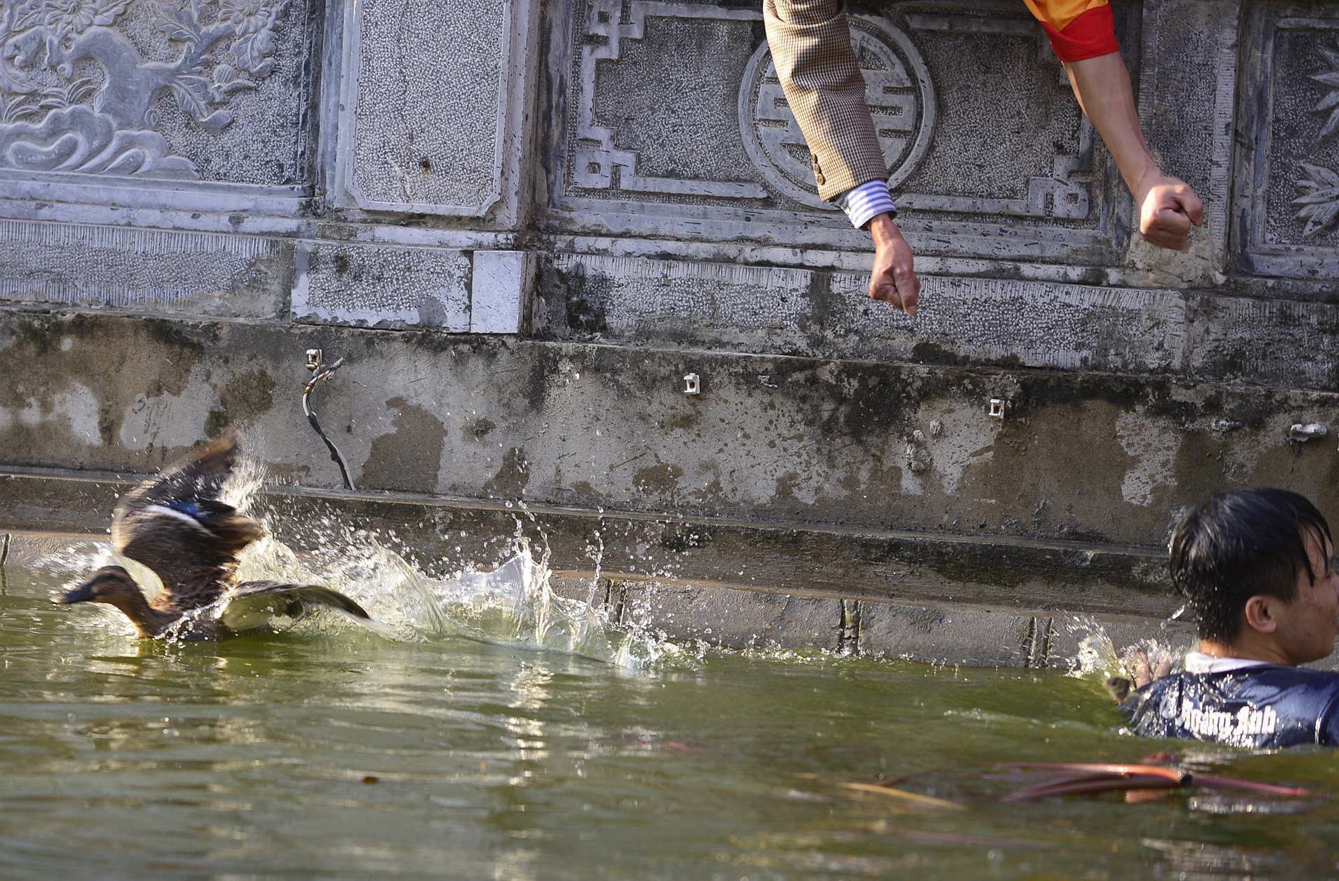 hinh anh hom hinh tai le hoi van phuc anh 10