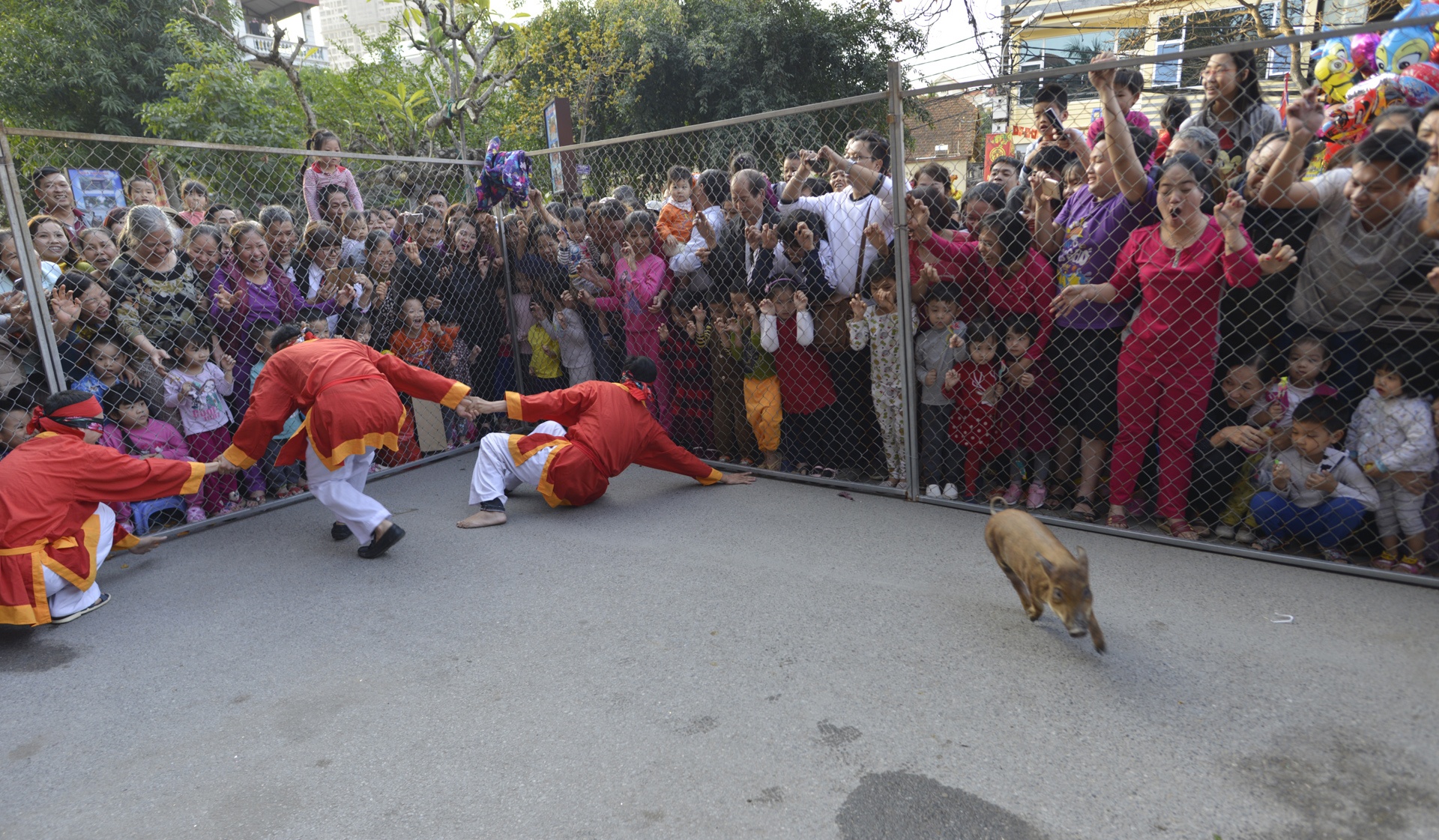 hinh anh hom hinh tai le hoi van phuc anh 13