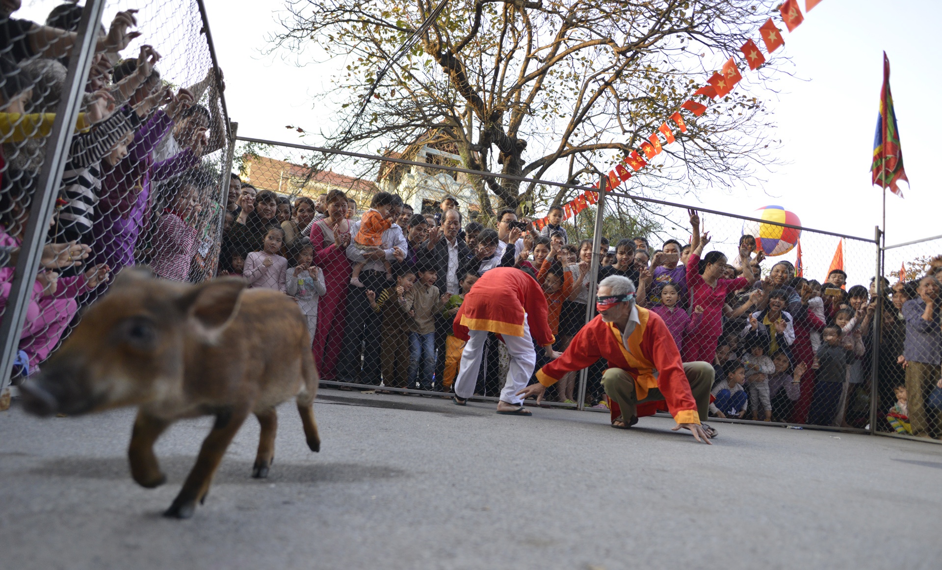 hinh anh hom hinh tai le hoi van phuc anh 15