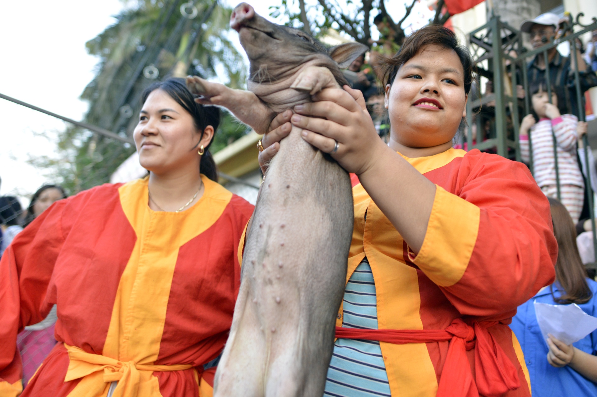 hinh anh hom hinh tai le hoi van phuc anh 18