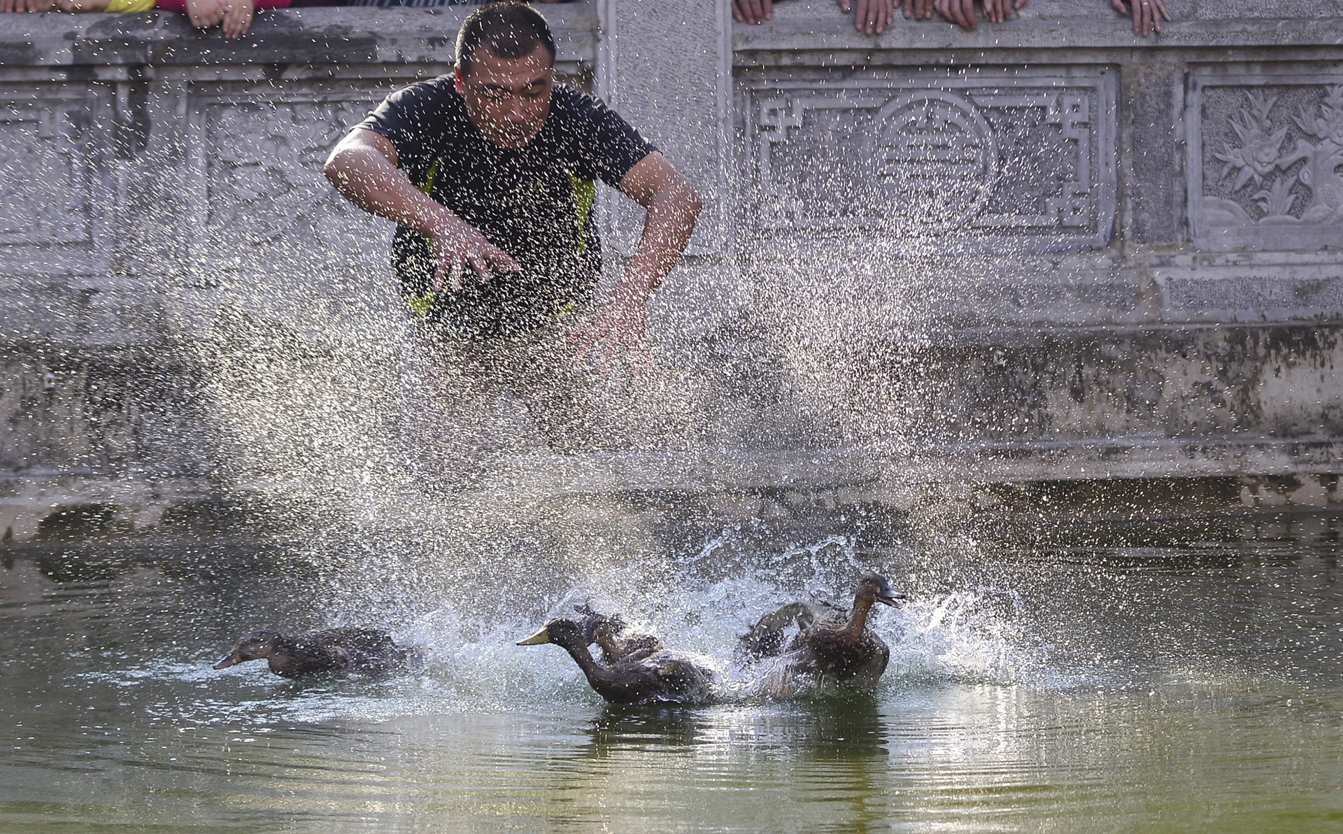 hinh anh hom hinh tai le hoi van phuc anh 3