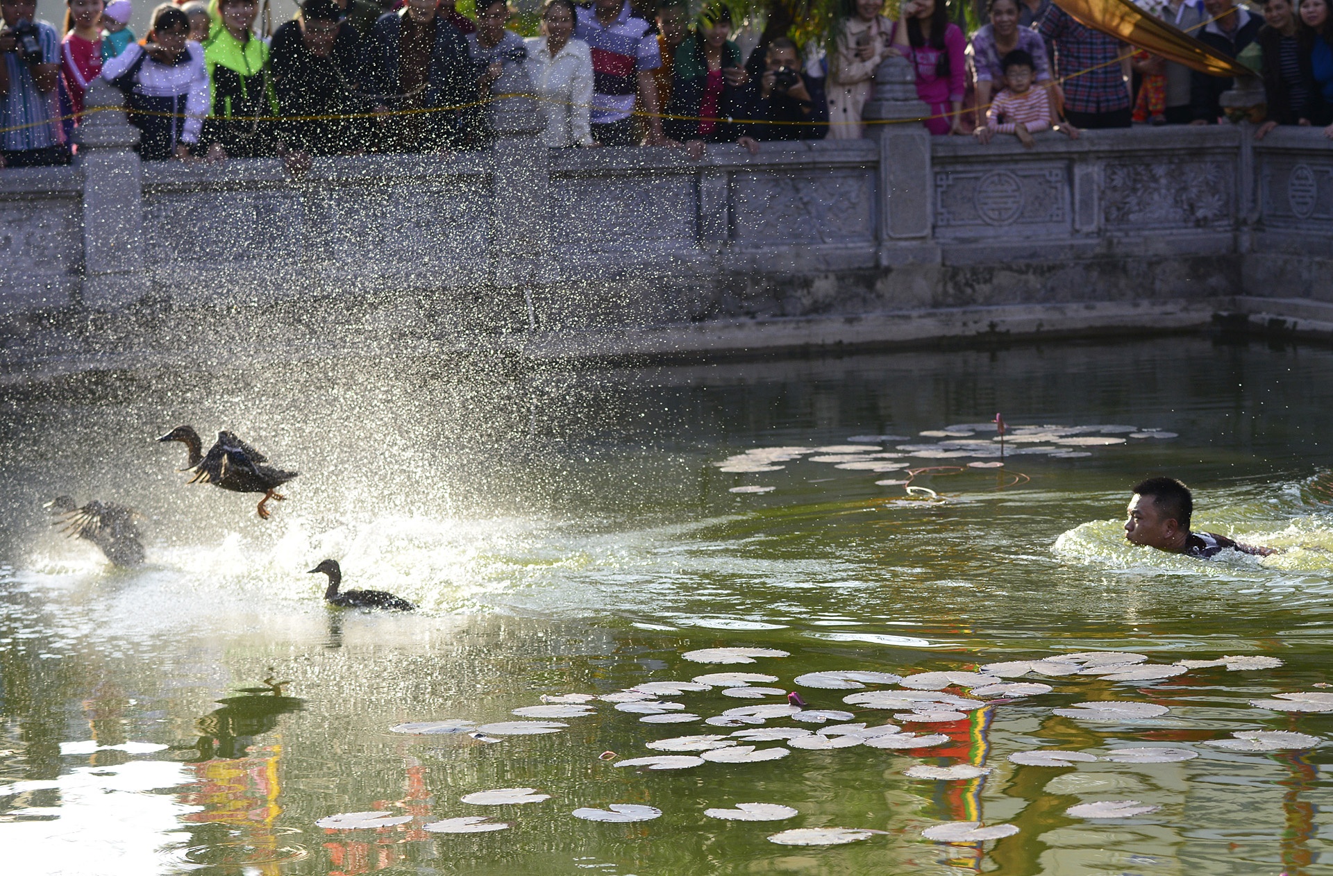 hinh anh hom hinh tai le hoi van phuc anh 4